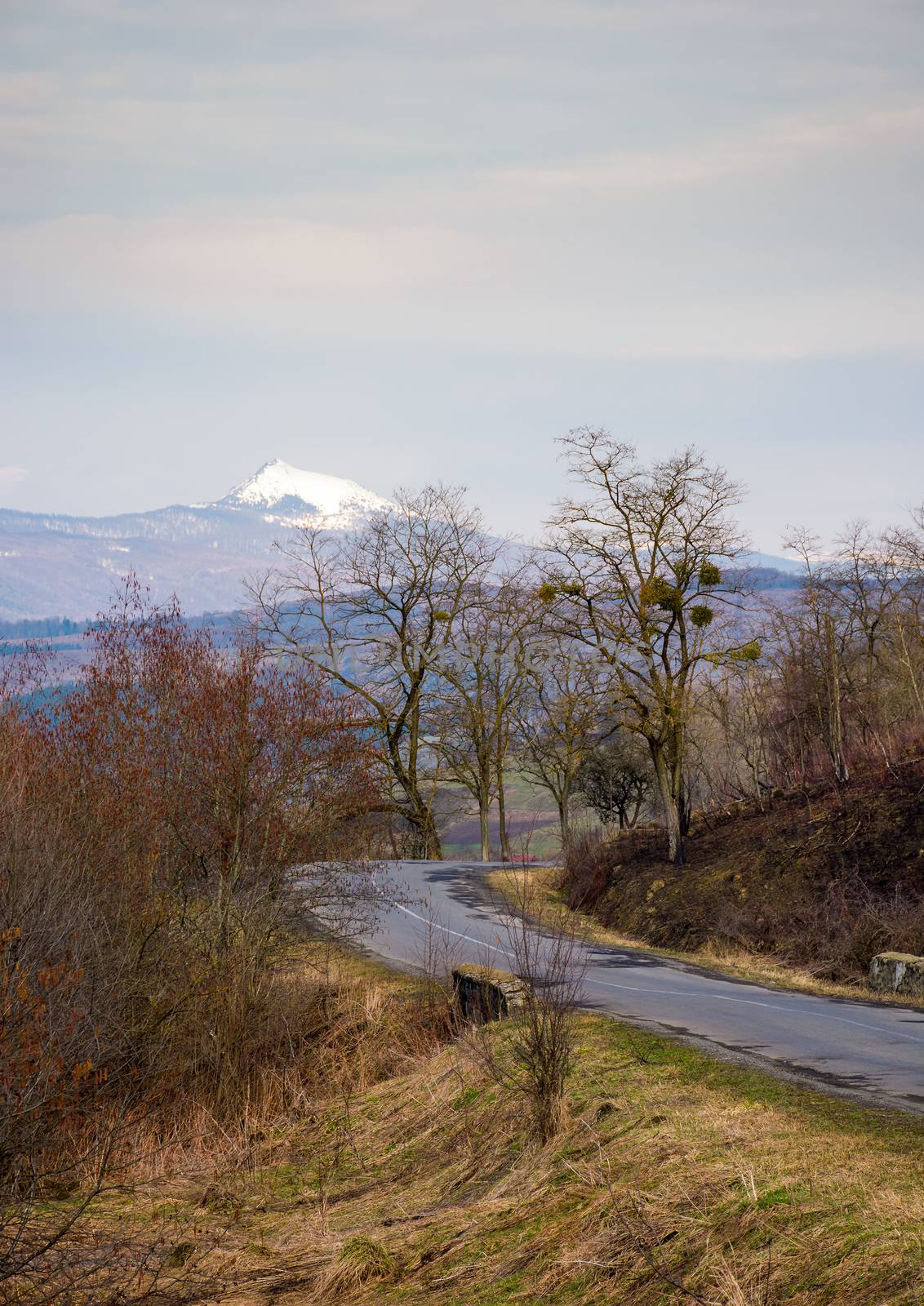 country road in to the mountains with snowy peak by Pellinni