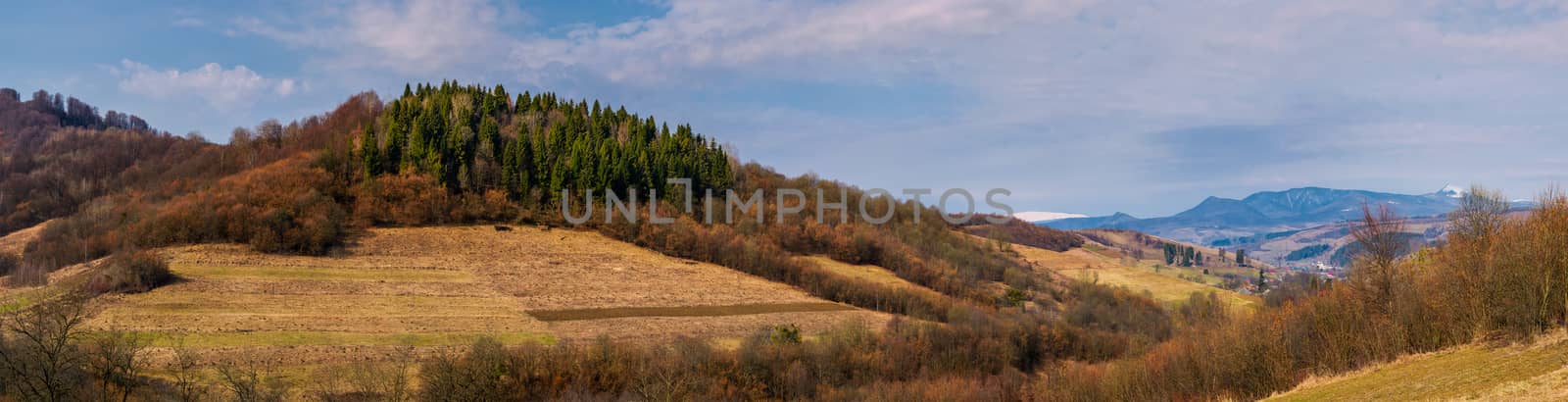 panorama of mountainous area of Carpathians by Pellinni
