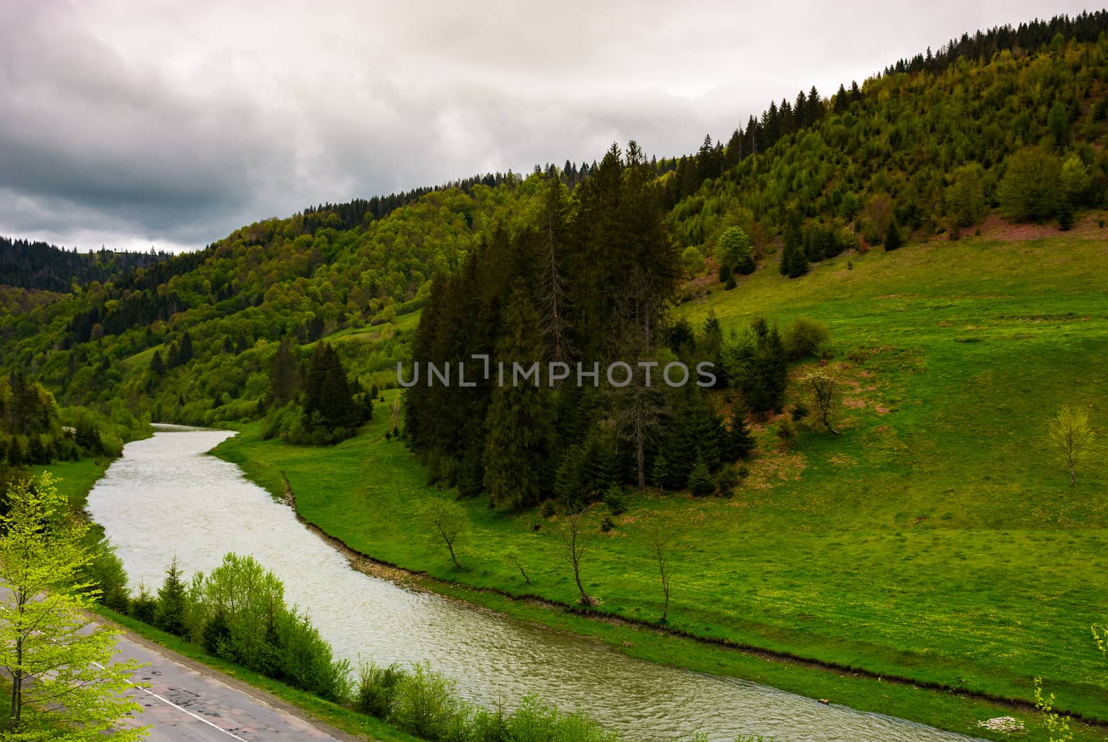 river near the forest on hillside on a cloudy day. lovely springtime landscape in mountains