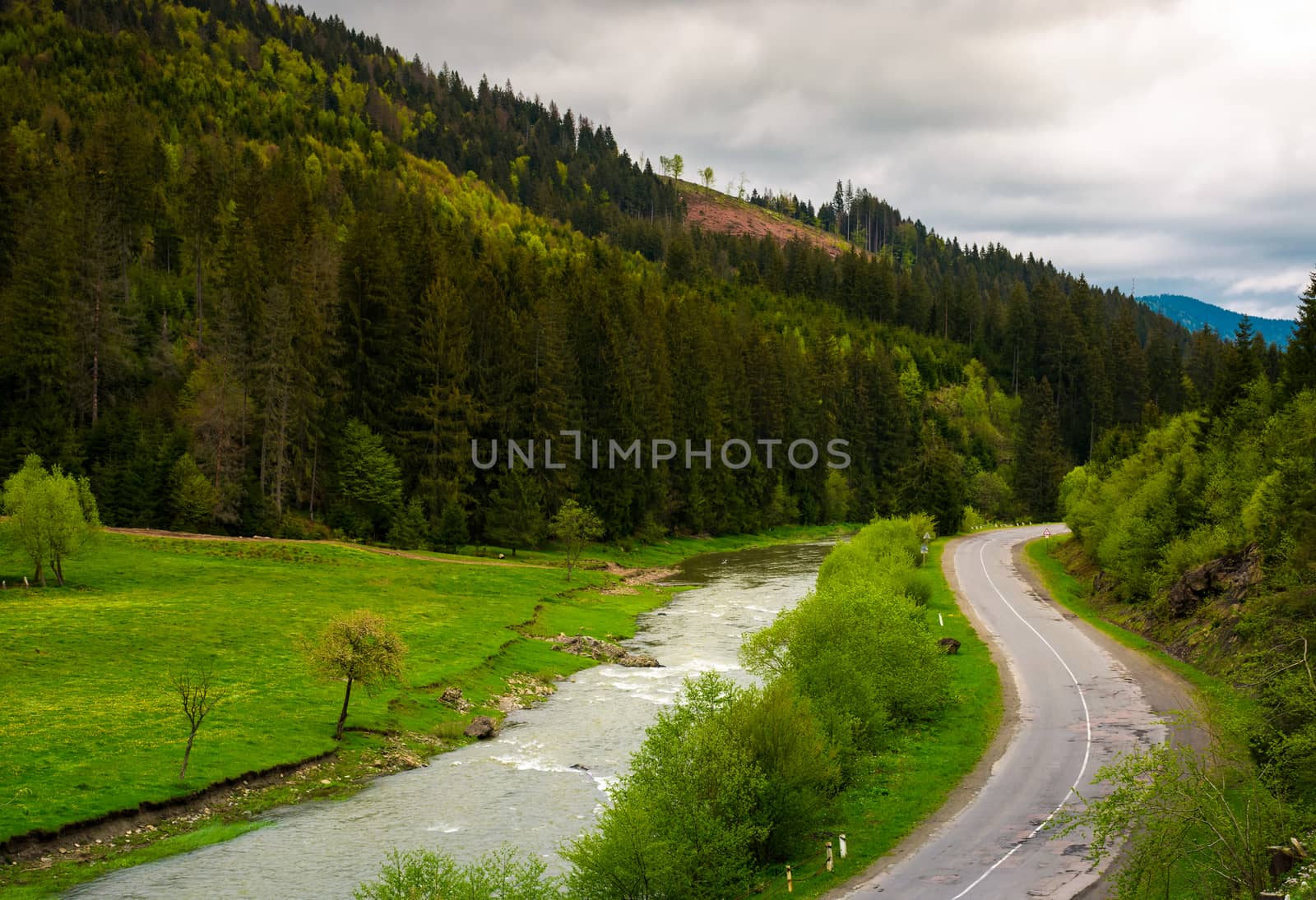 road along the river near the forest on hillside. lovely springtime landscape in mountains on a cloudy day. view from above