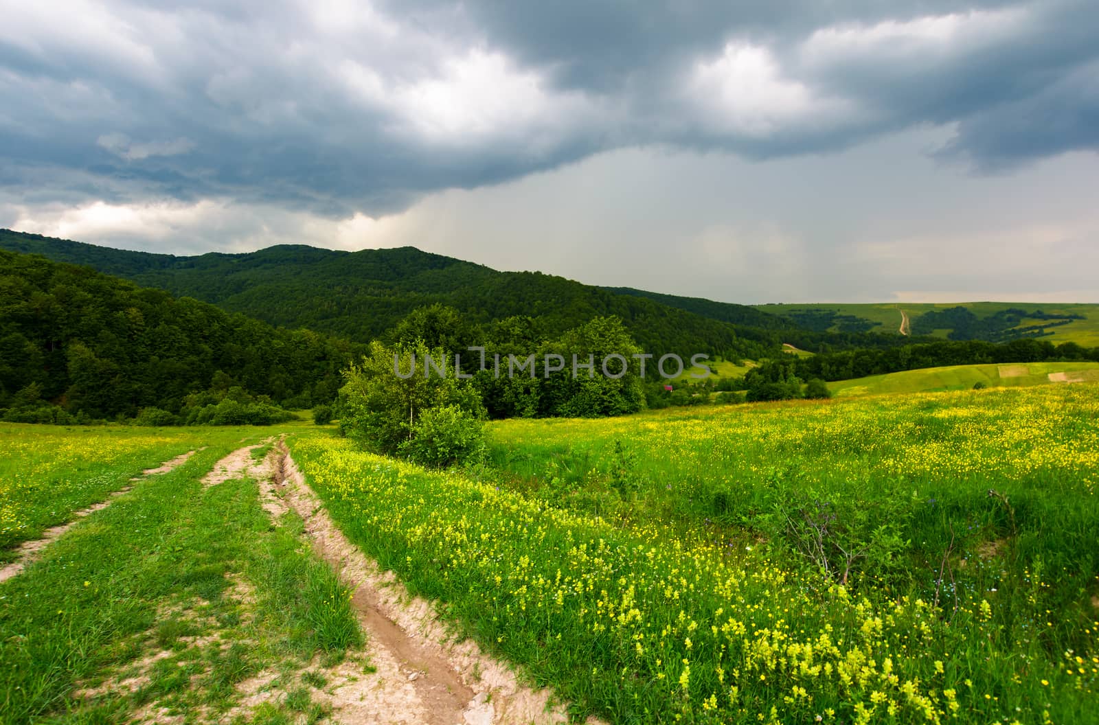 country road down the hill through the field. lovely countryside scenery in mountainous area before the summer storm