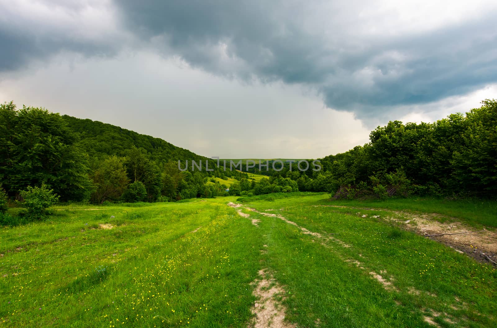 country road down the hill through the forest. lovely countryside scenery in mountainous area before the summer storm