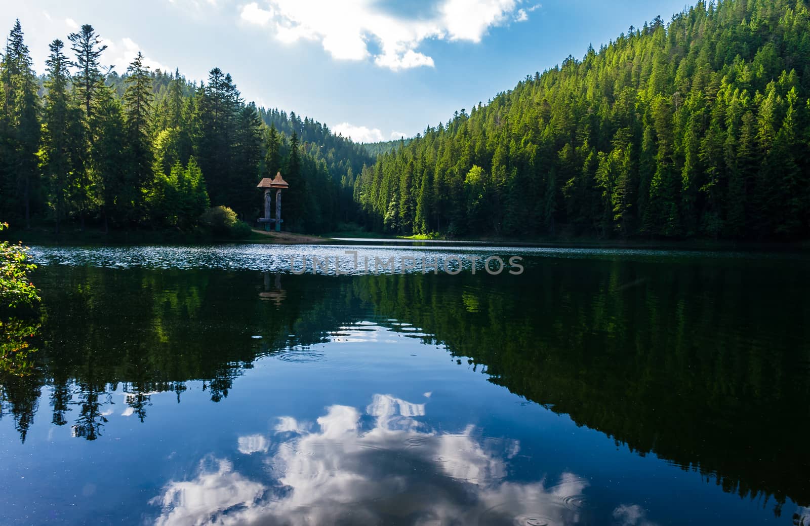 Synevyr lake on summer evening. beautiful scenery among the forest. reflection of a cloud in a rippled water surface