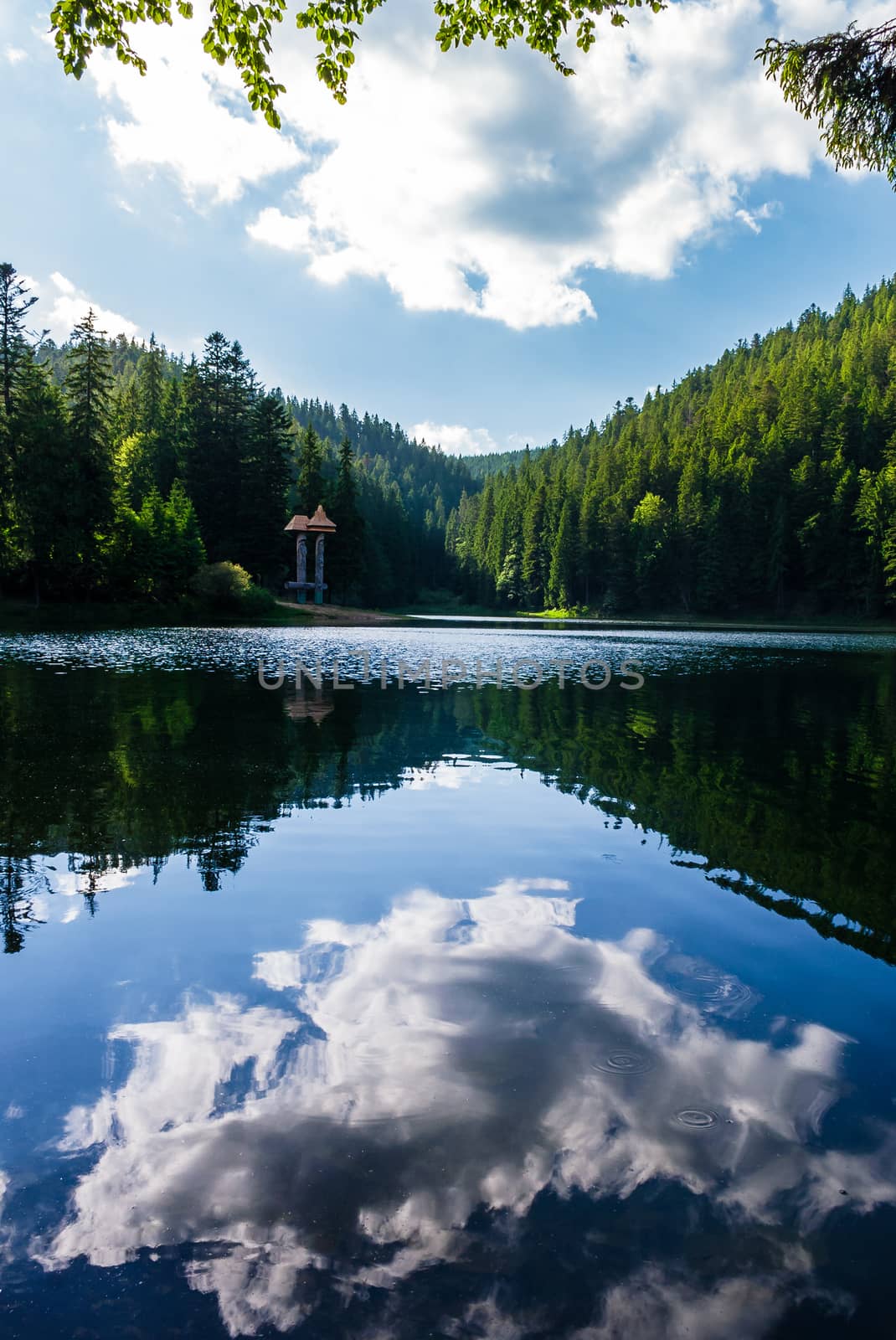 Synevyr lake on summer evening. beautiful scenery among the forest. reflection of a cloud in a rippled water surface