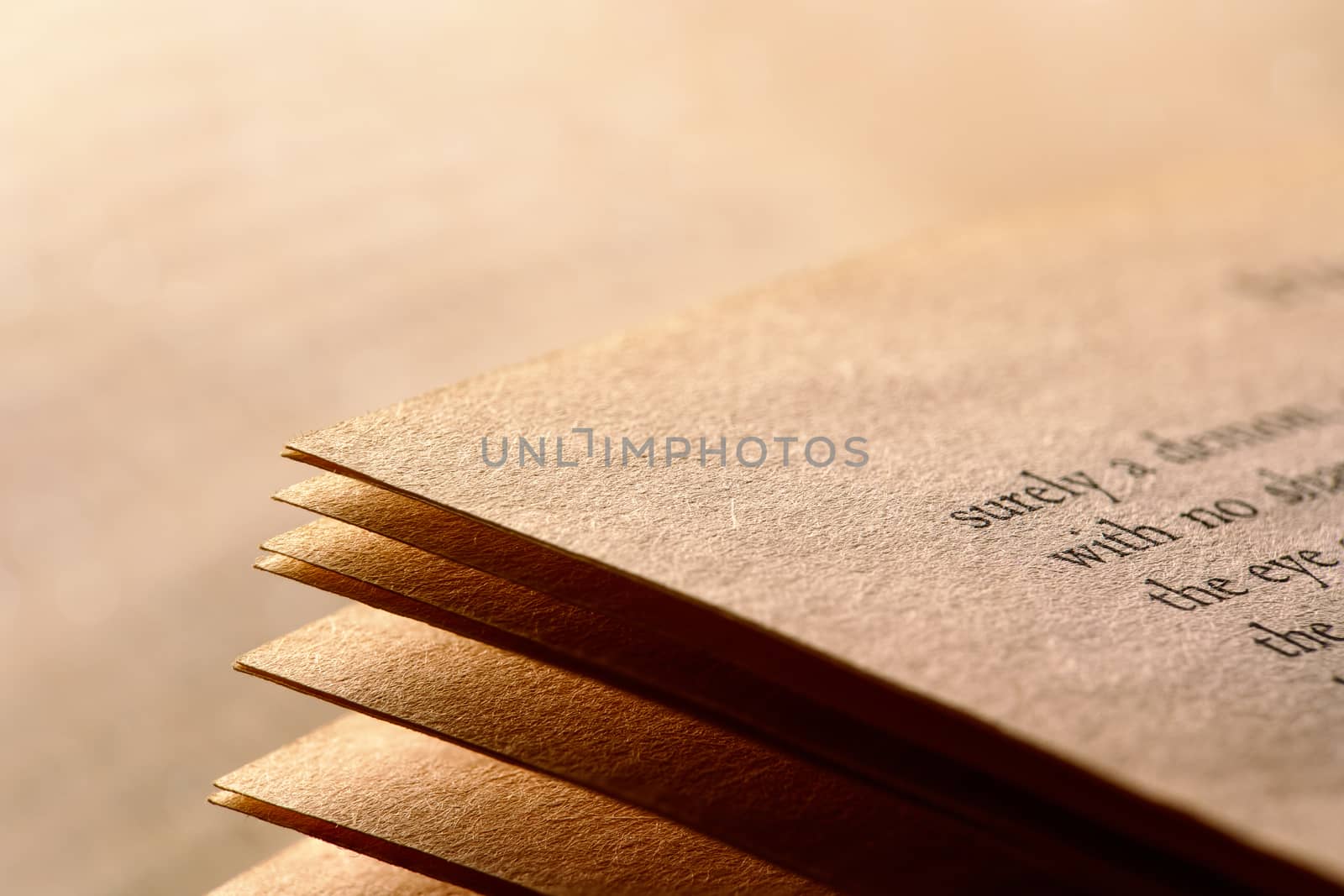 close-up of a book pages in a warm light