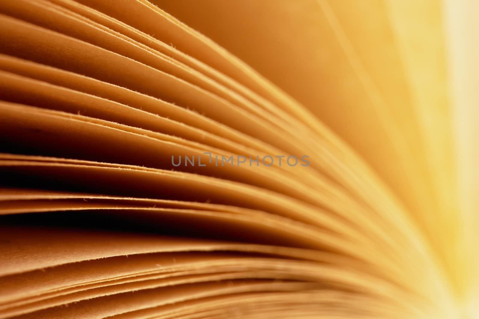 close-up of a curved book pages