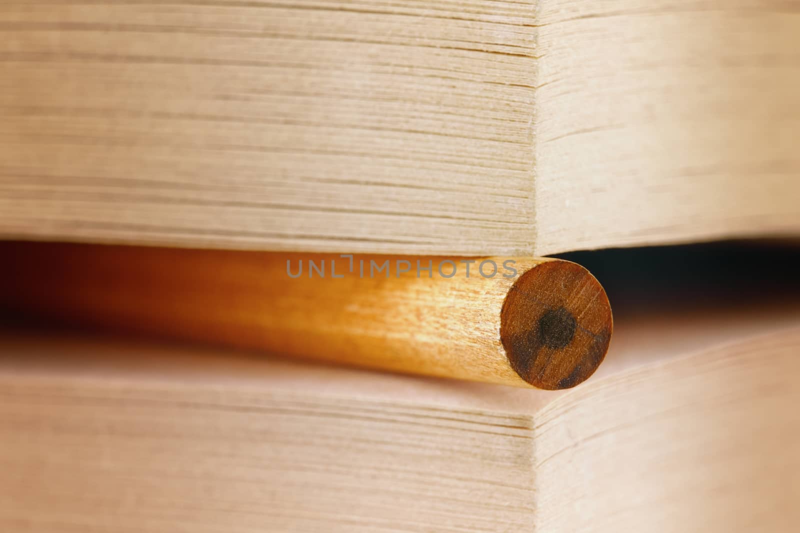 a pencil inserted in a book