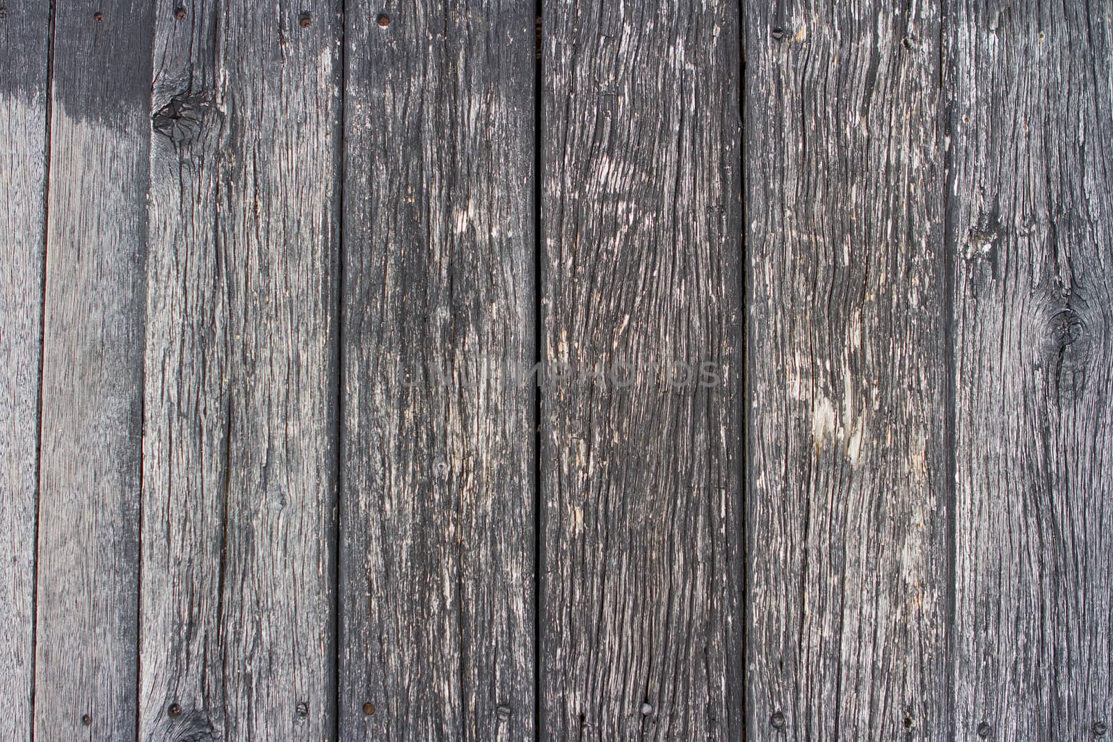 Old wood texture black have tack of old by TakerWalker