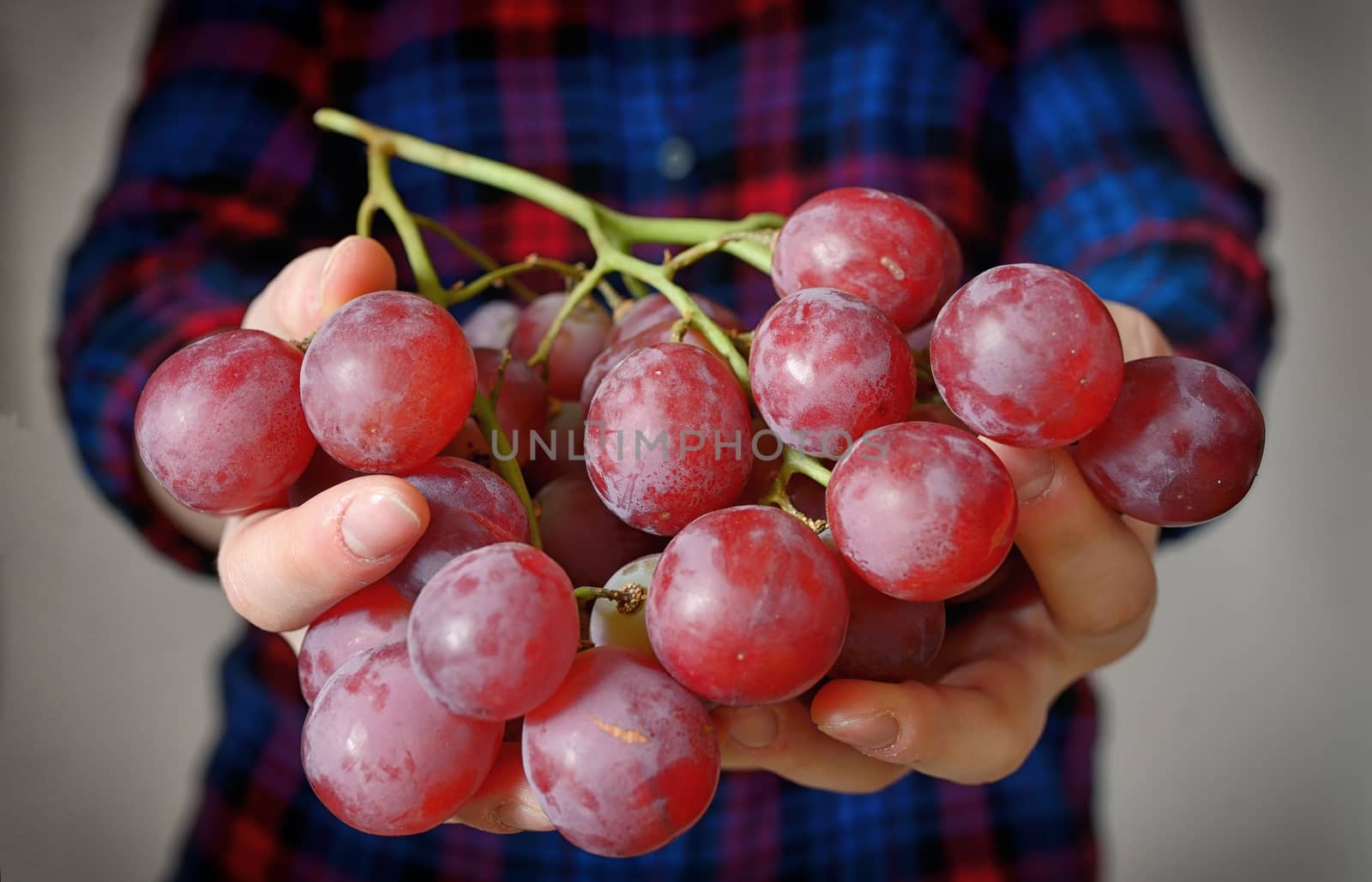 Young woman holding grapes by mady70