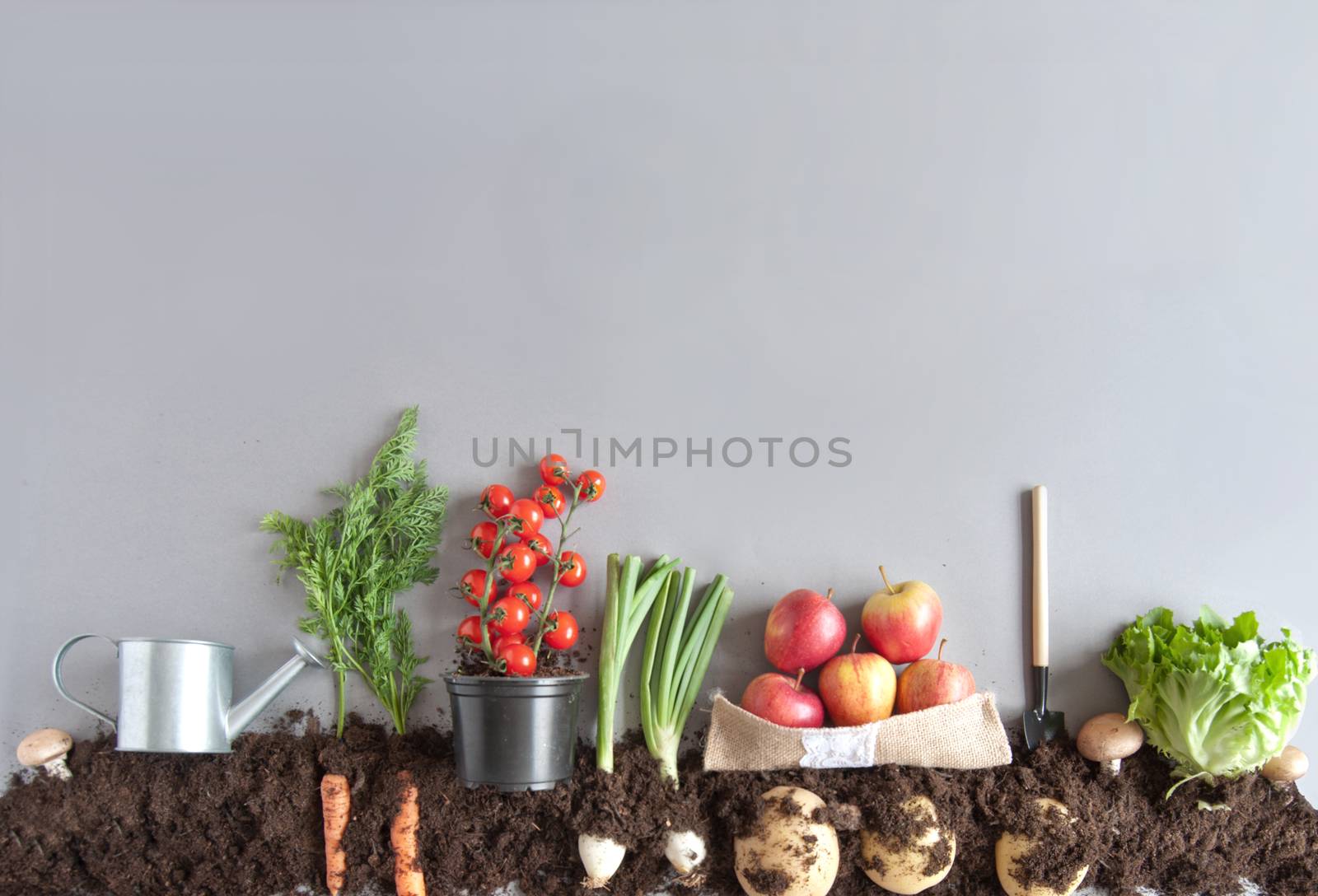 Organic fruit and vegetable garden  by unikpix