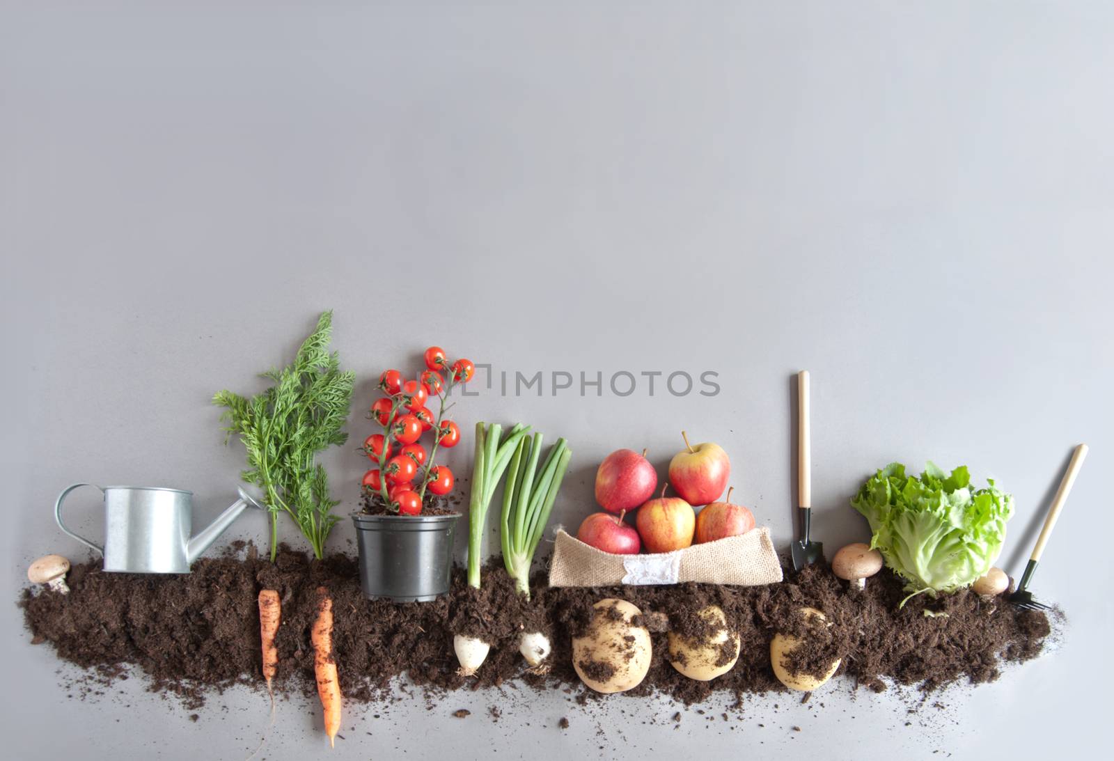 Organic fruit and vegtable garden background by unikpix