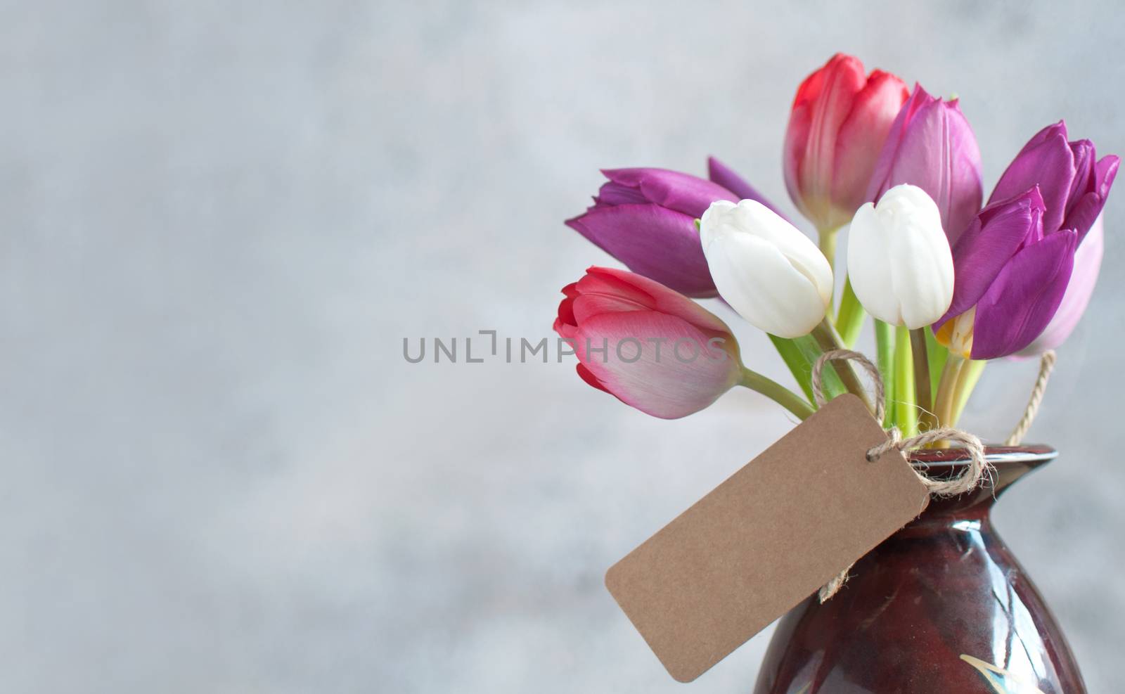 Closeup of gift label attached to selection of tulip flowers in a pot