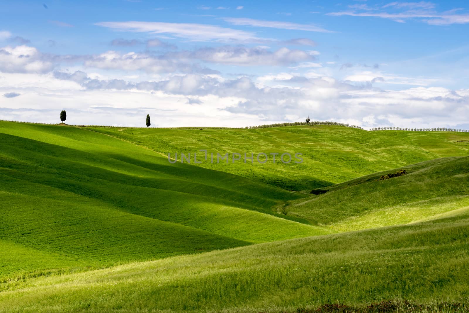 View of the Scenic Tuscan Countryside