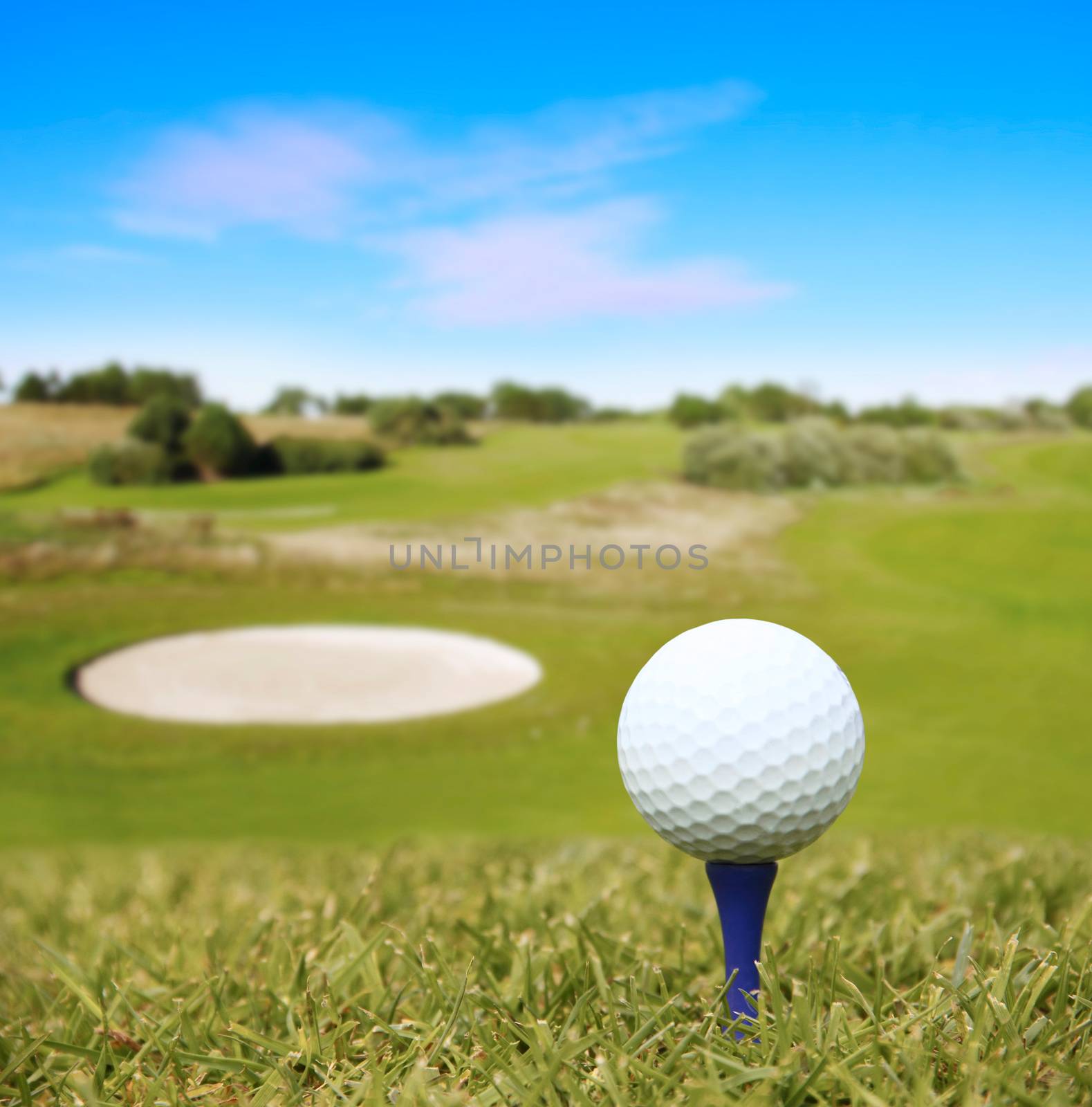 Golf ball on course by destillat