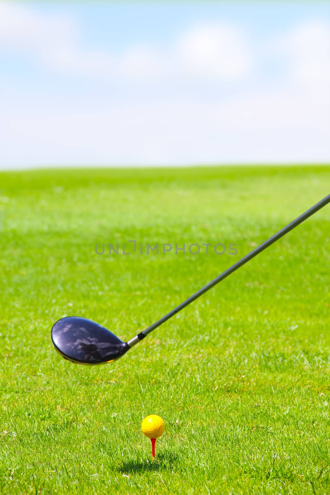 Golf club and ball on green grass by destillat