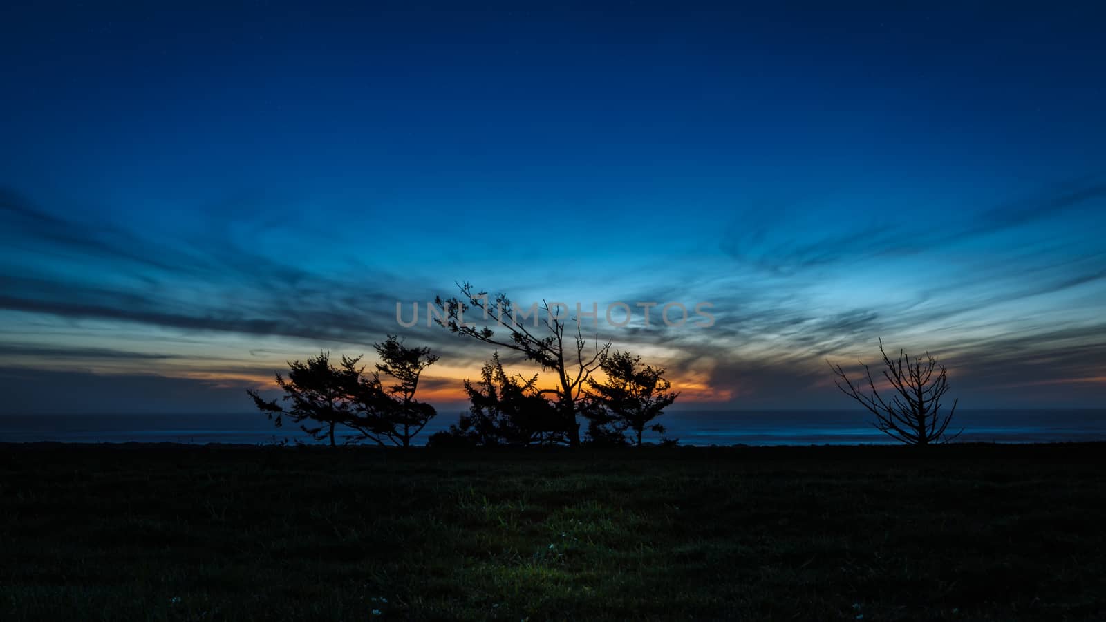 Blue Hour Sunset with Trees by backyard_photography