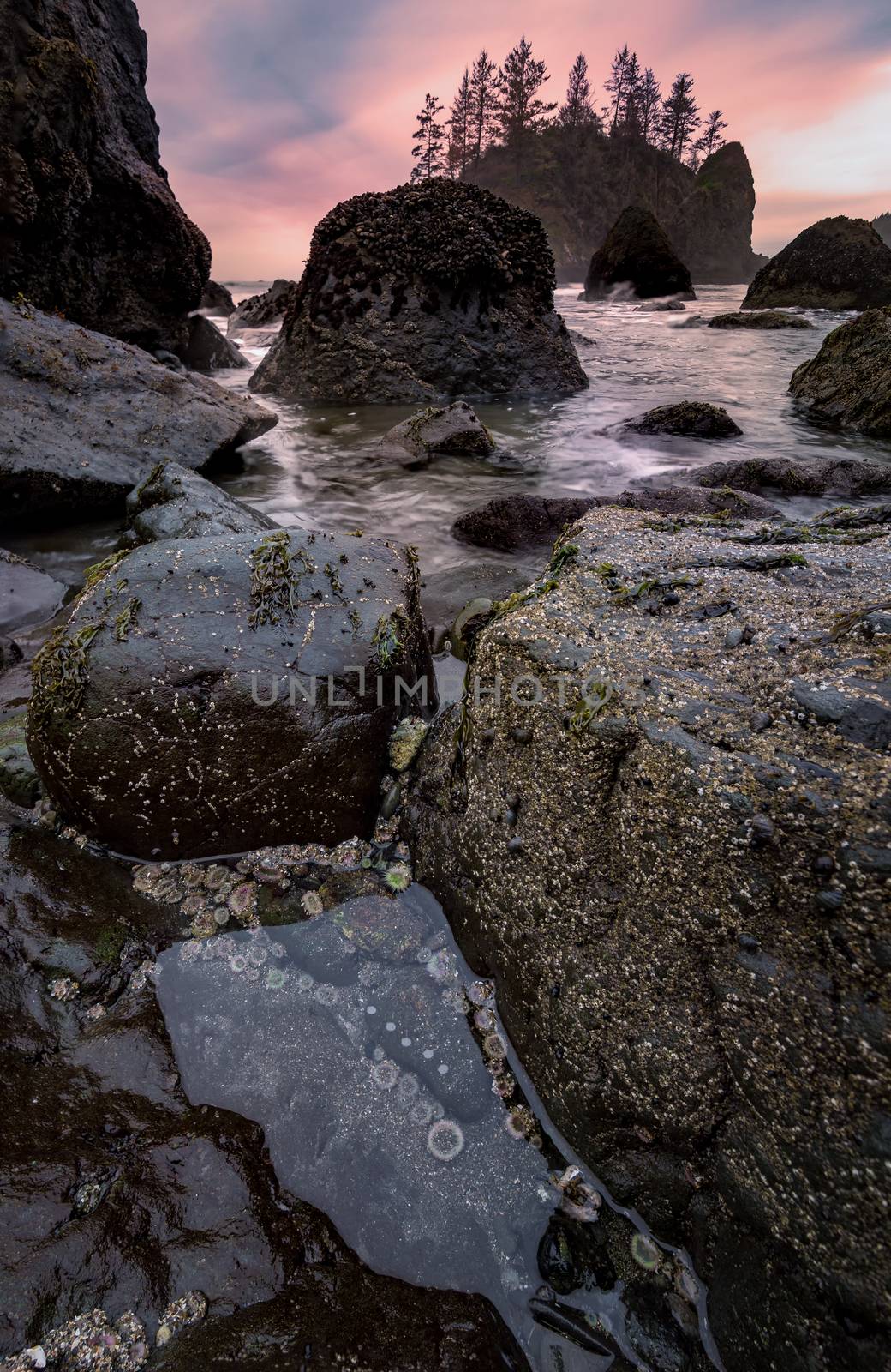 Rocky Beach Tidepools, Landscape at Sunset by backyard_photography