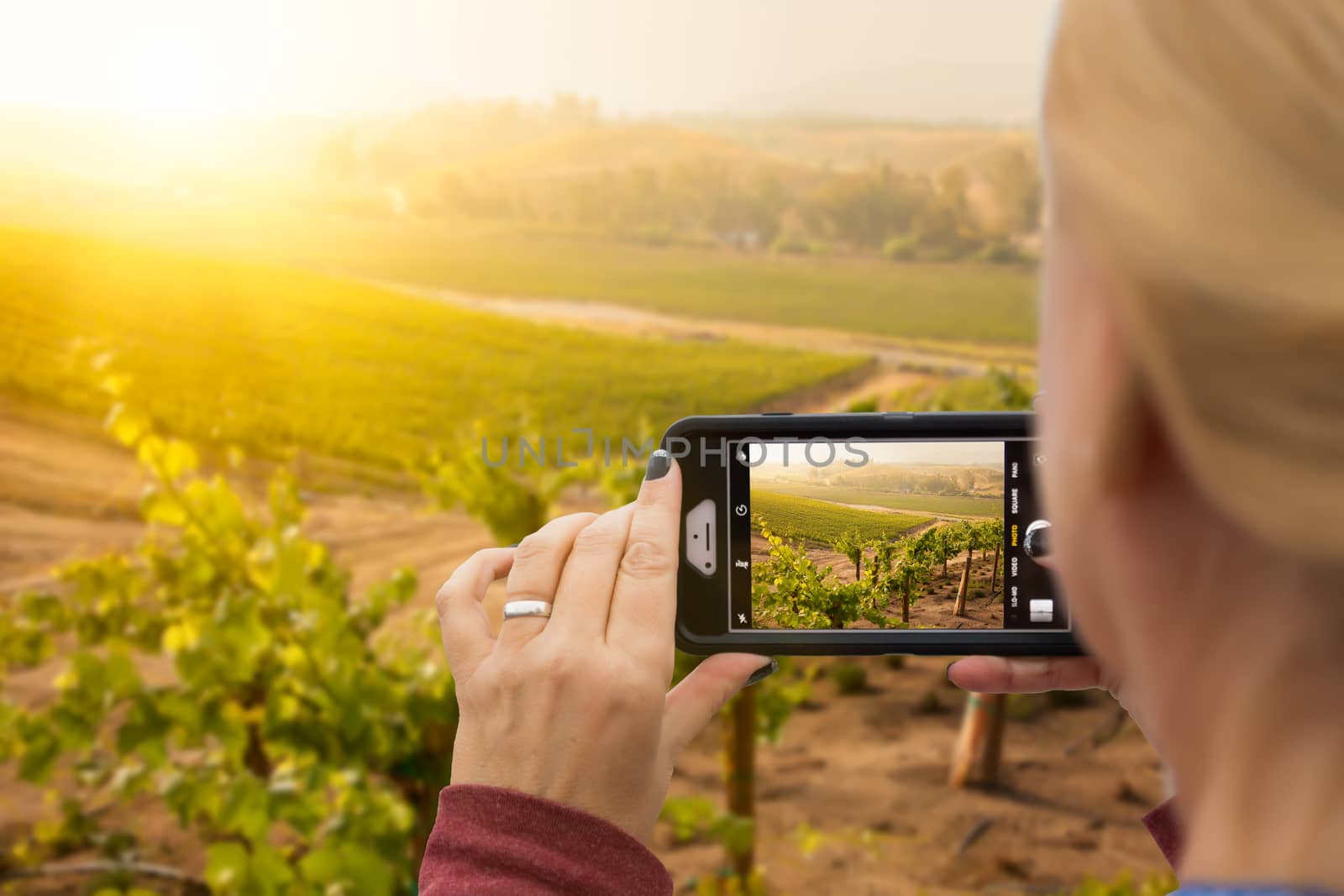 Woman Taking Pictures of A Grape Vineyard with Her Smart Phone. by Feverpitched
