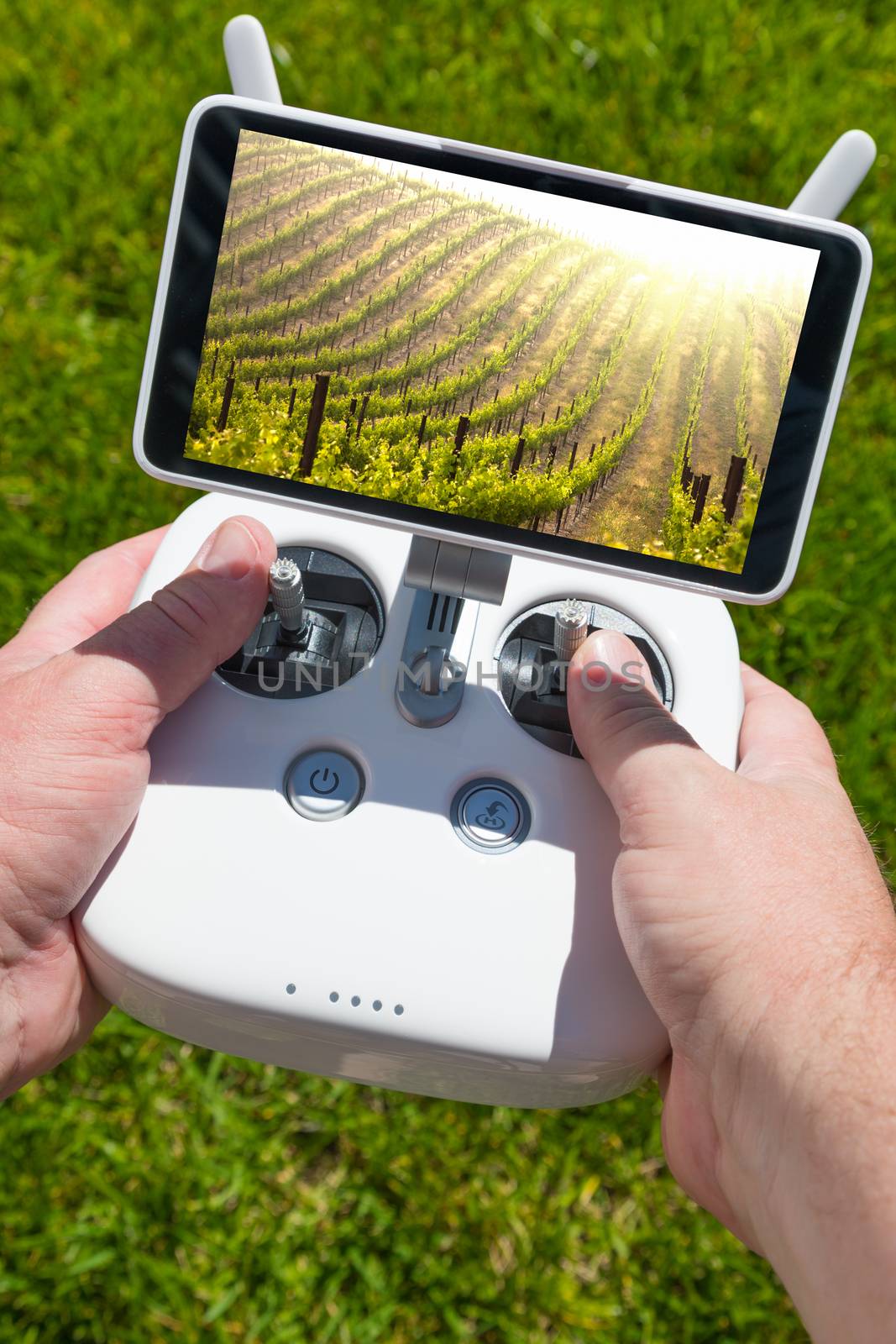 Hands Holding Drone Quadcopter Controller With Beautiful Grape Vineyard View on Screen. by Feverpitched