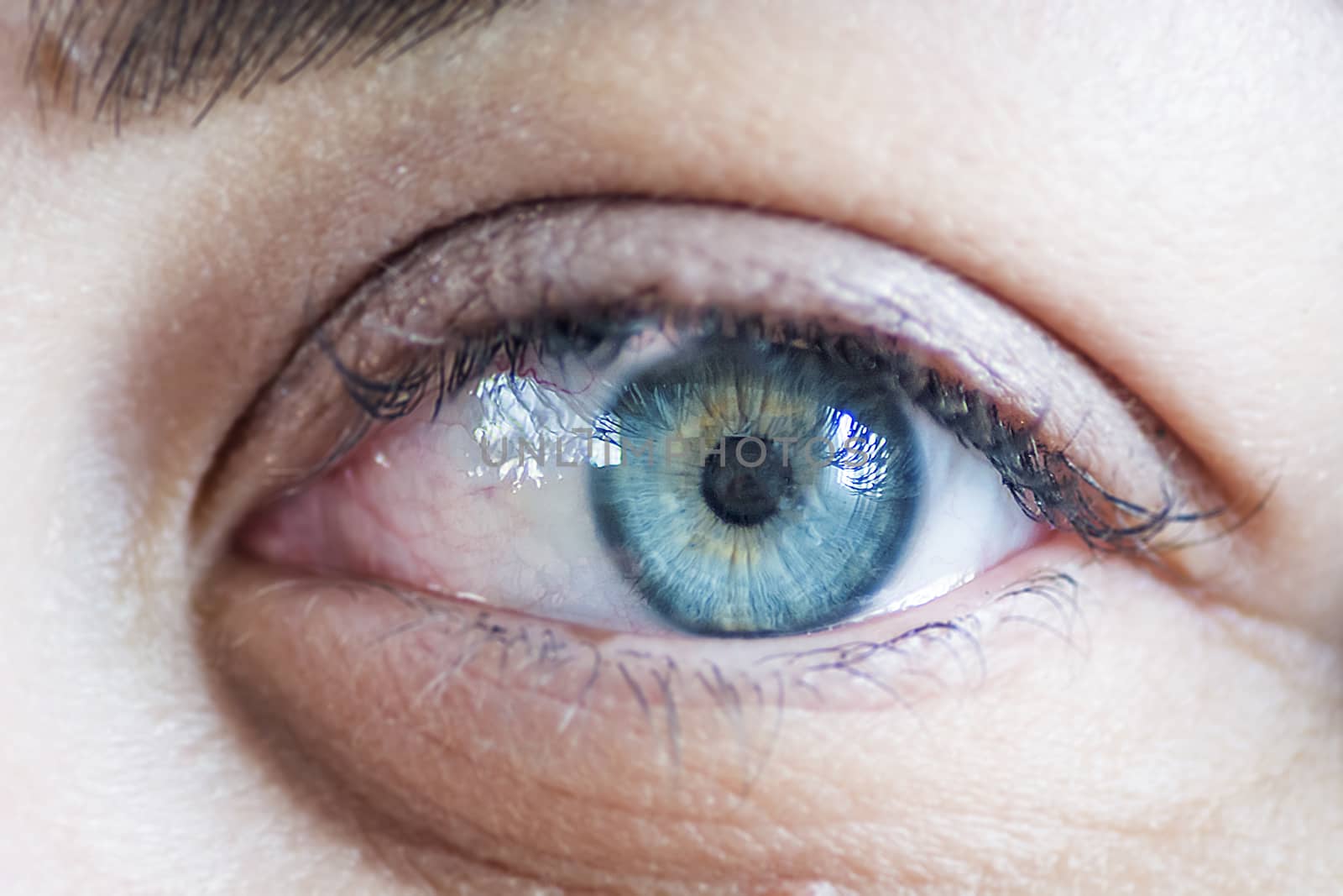 close-up view of a woman's blue eye