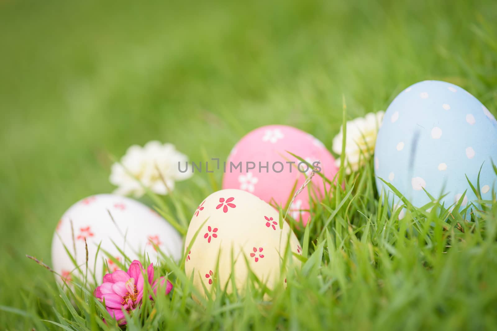 Happy easter!  Closeup Colorful Easter eggs in nest on green grass field during sunset background.