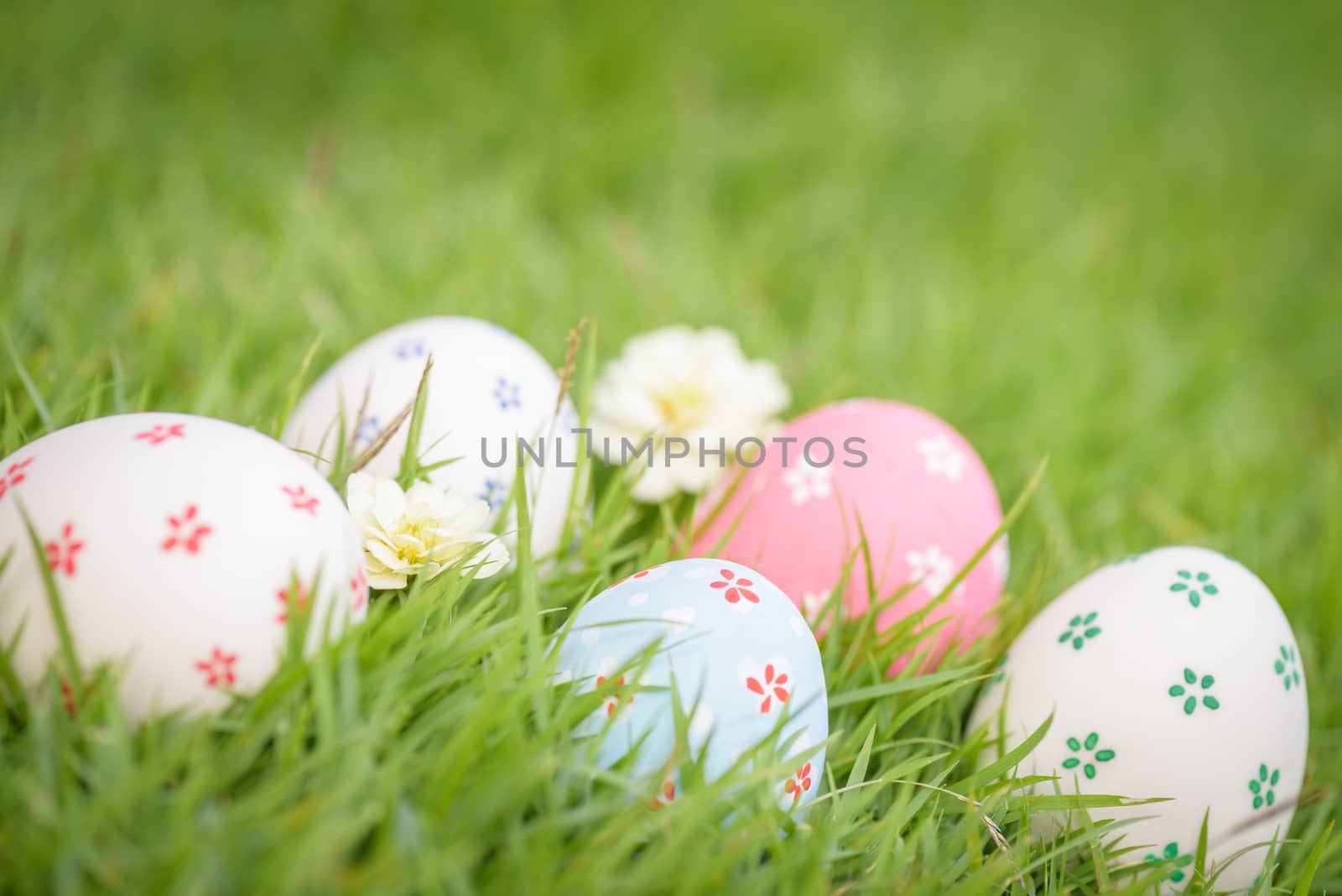 Happy easter!  Closeup Colorful Easter eggs in nest on green grass field during sunset background.