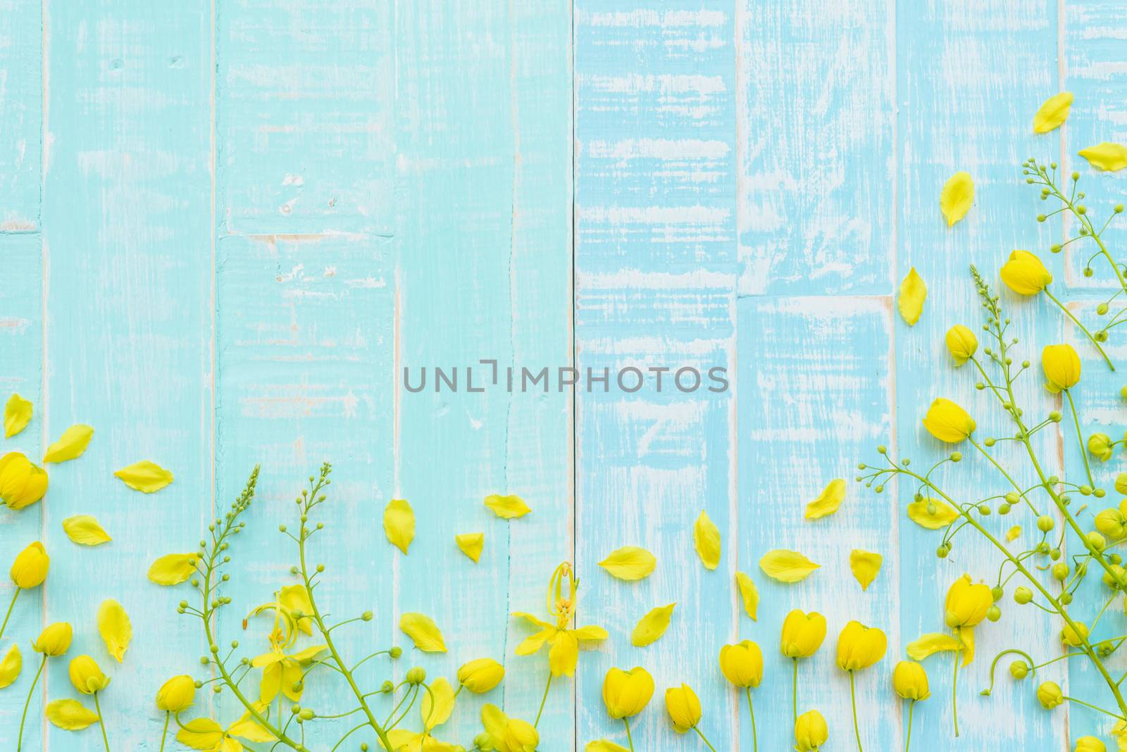 Yellow Flowers on a pastel bright blue wooden background. Spring by spukkato