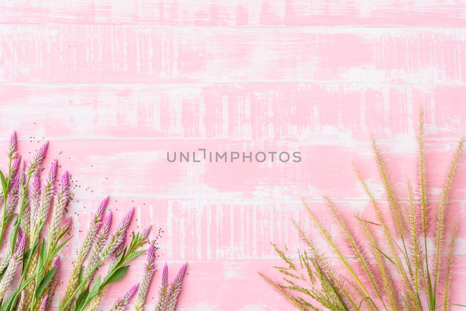 Flowers on a pastel bright pink wooden background. Spring and su by spukkato