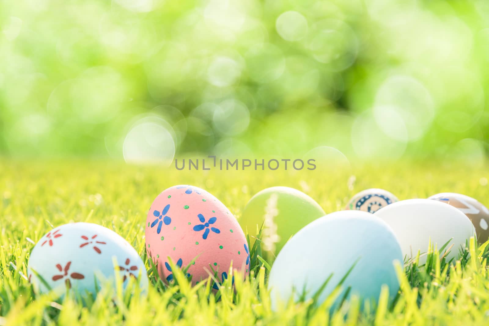 Happy easter!  Closeup Colorful Easter eggs on green grass field by spukkato