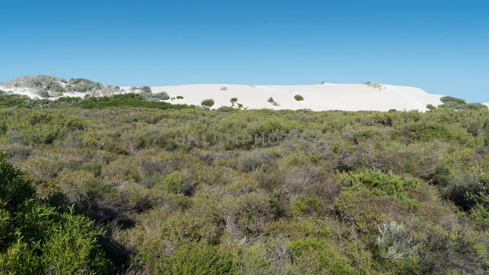 Landscape of the Nambung National Park, Western Australia