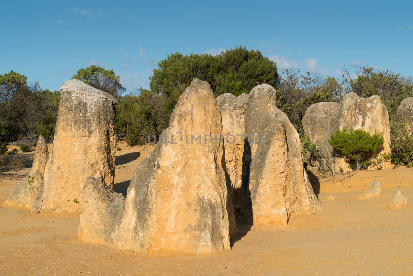 Pinnacles Desert in early morning light, Nambung National Park, Western Australia