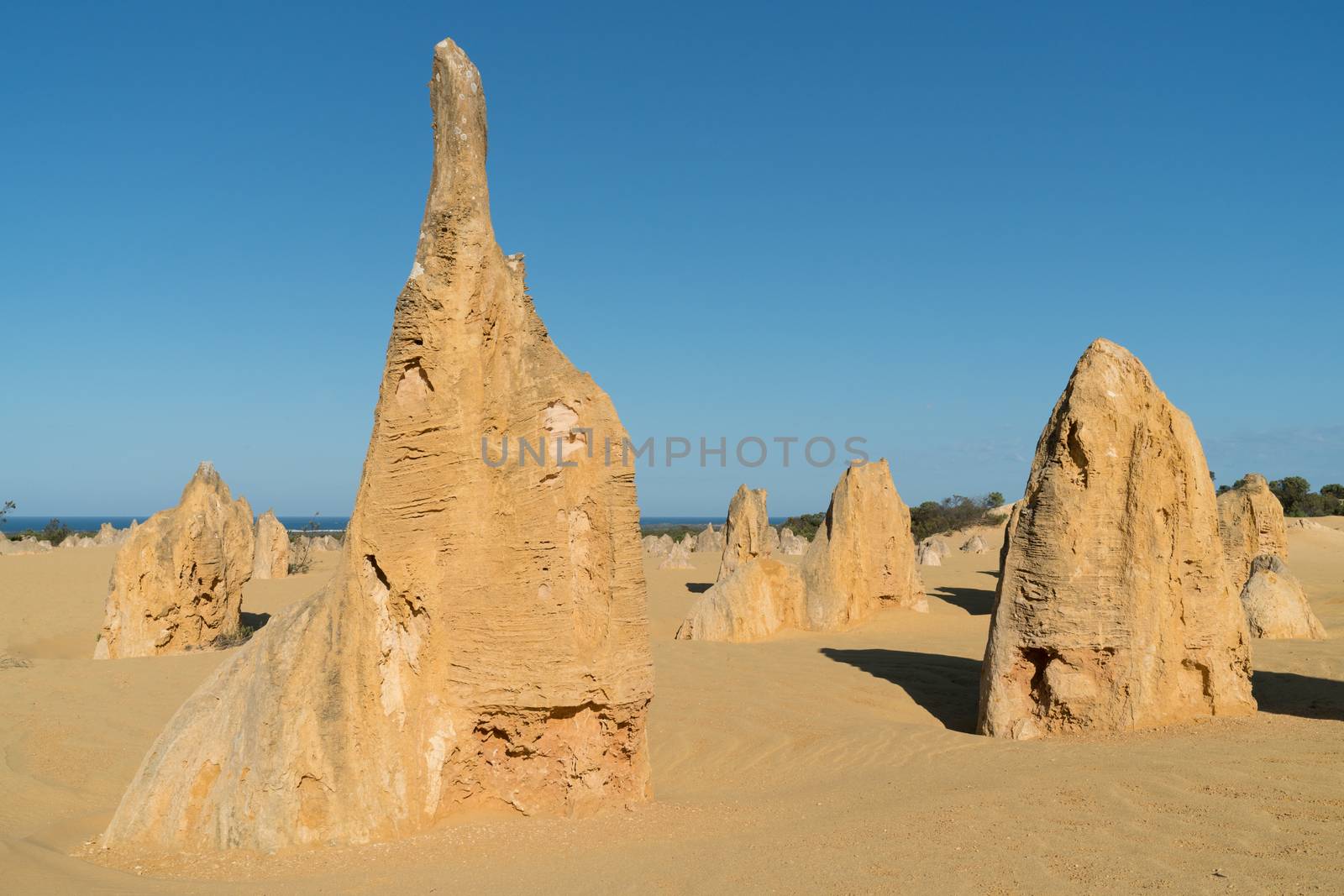 Pinnacles Desert in early morning light, Nambung National Park, Western Australia
