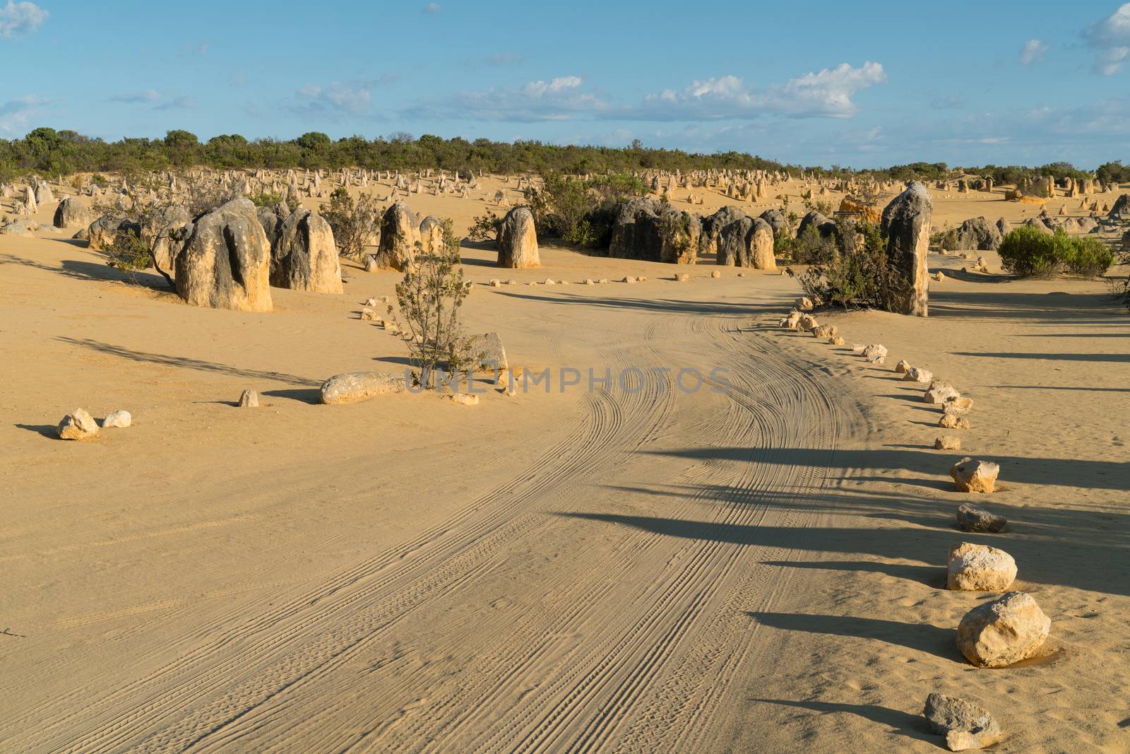 Pinnacles Desert in early morning light, Nambung National Park, Western Australia