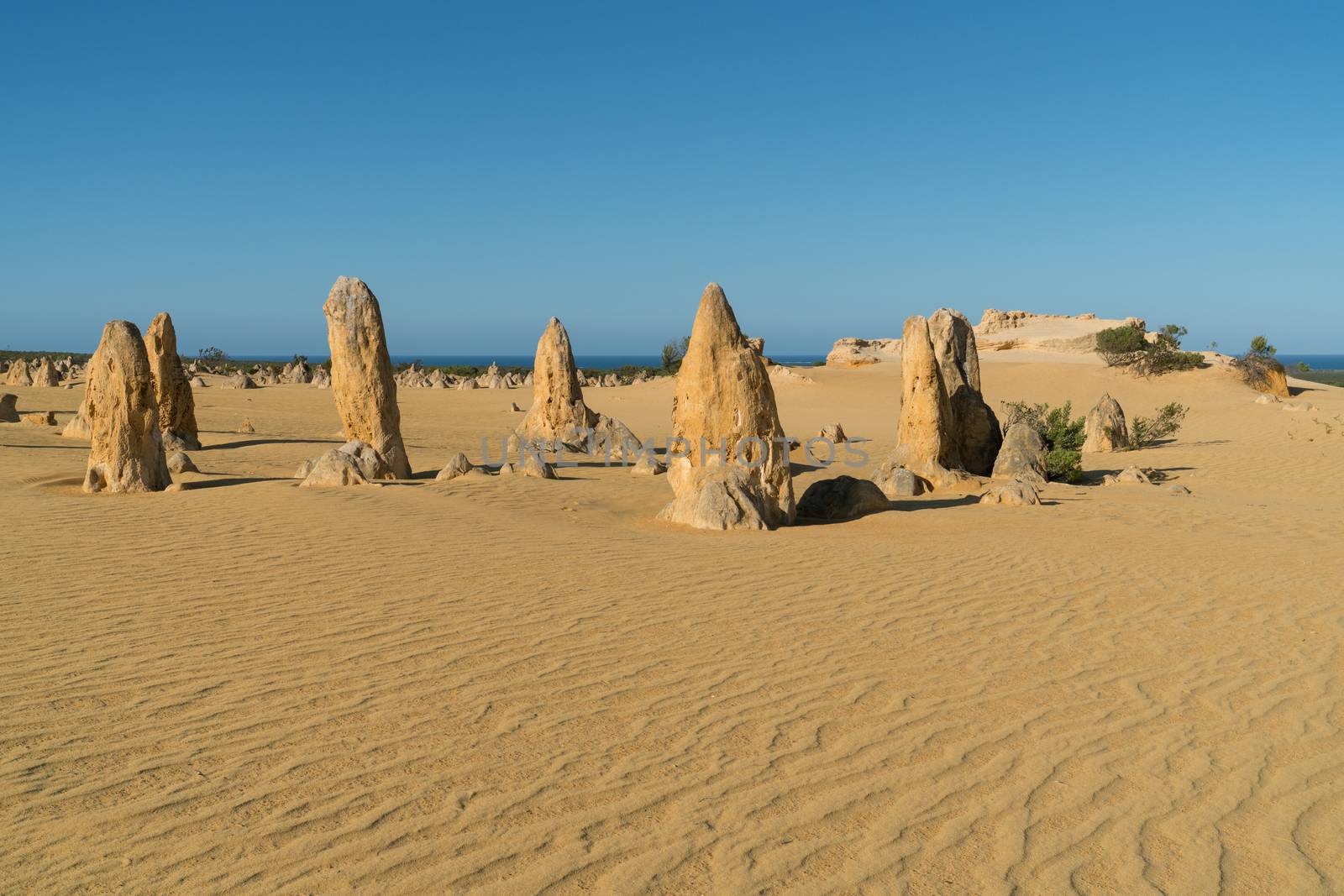 Pinnacles Desert in early morning light, Nambung National Park, Western Australia