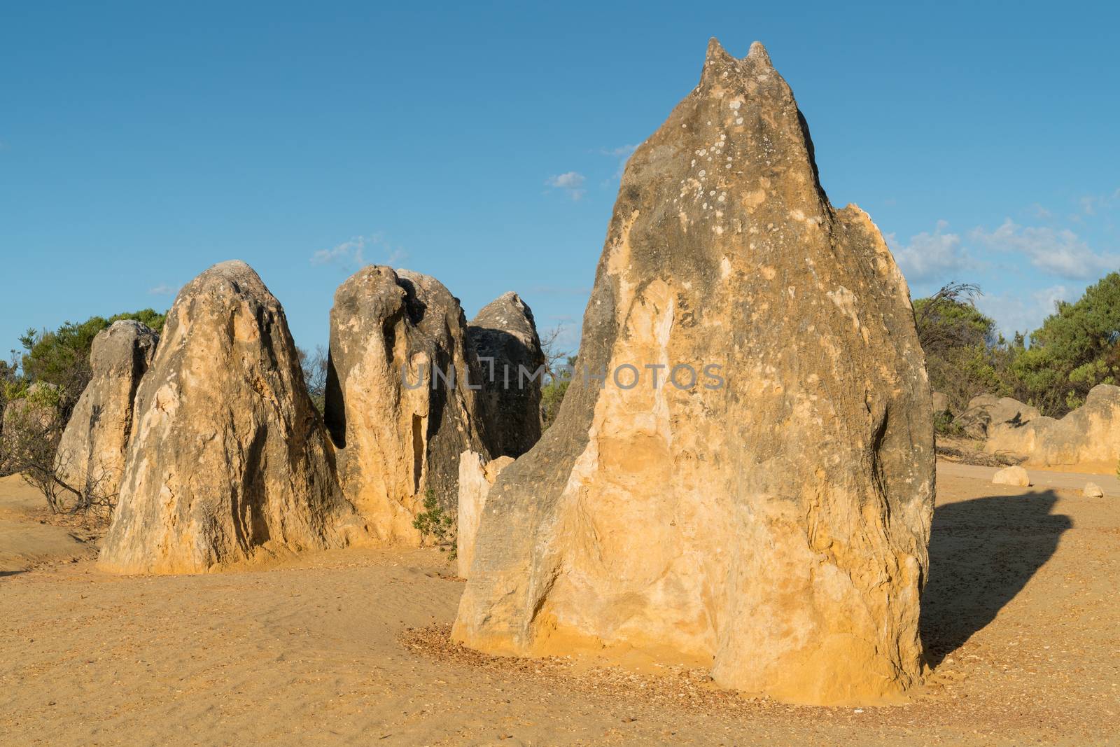 Pinnacles Desert in early morning light, Nambung National Park, Western Australia