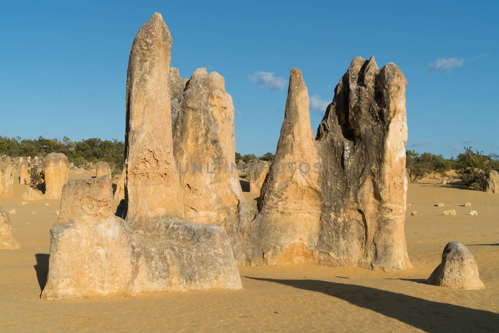 Pinnacles Desert in early morning light, Nambung National Park, Western Australia