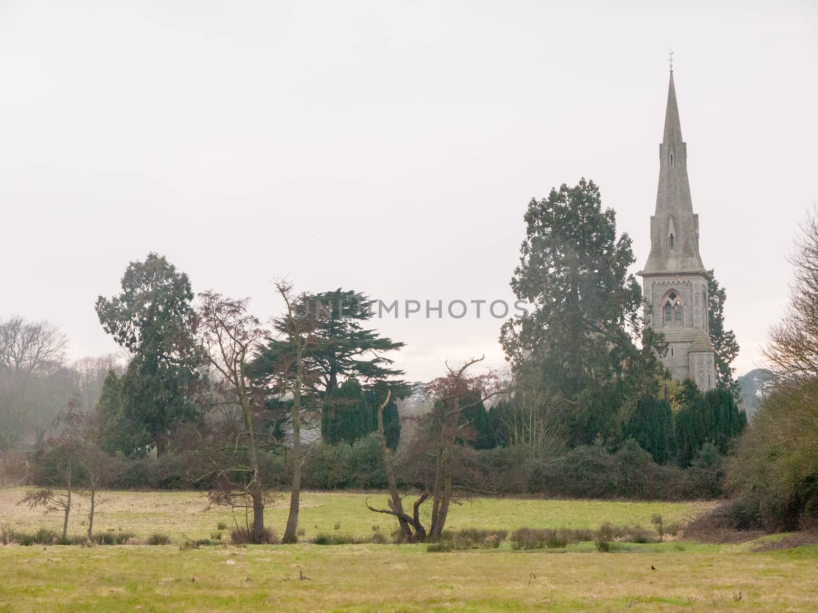 Mistley christian church as seen from over a field with trees in spring; essex; england; uk