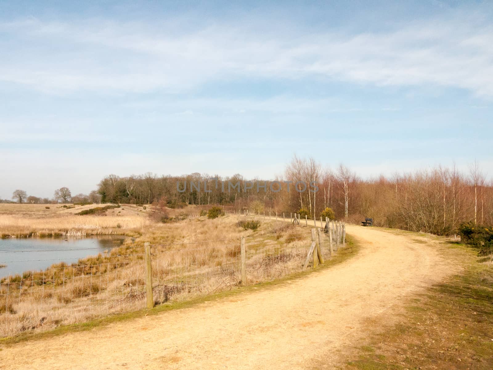 beautiful spring summer golden lake view field scene nature reserve sky landscape walkway; essex; england; uk