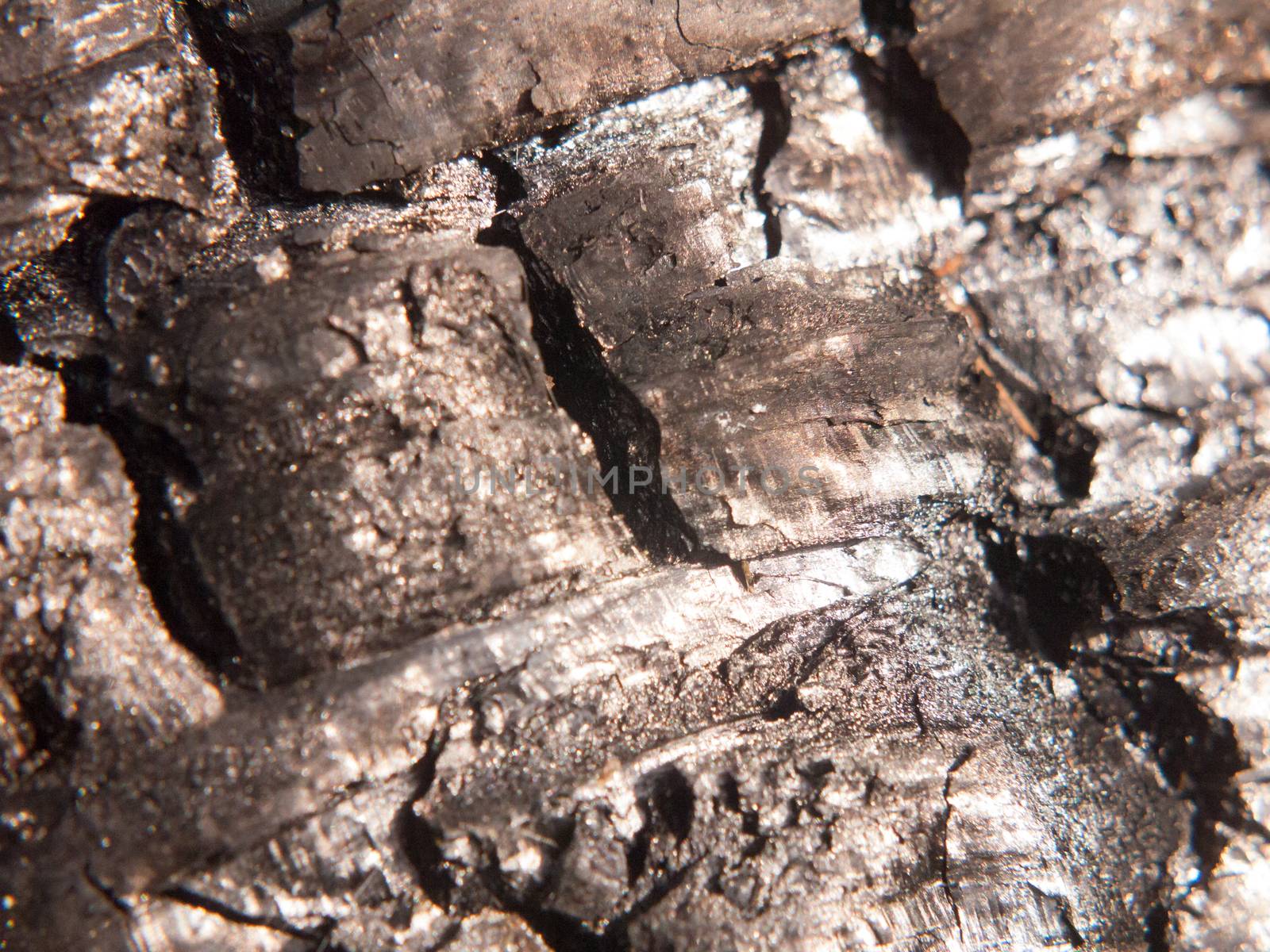 close up black texture of burnt charred tree stump forest charcoal by callumrc