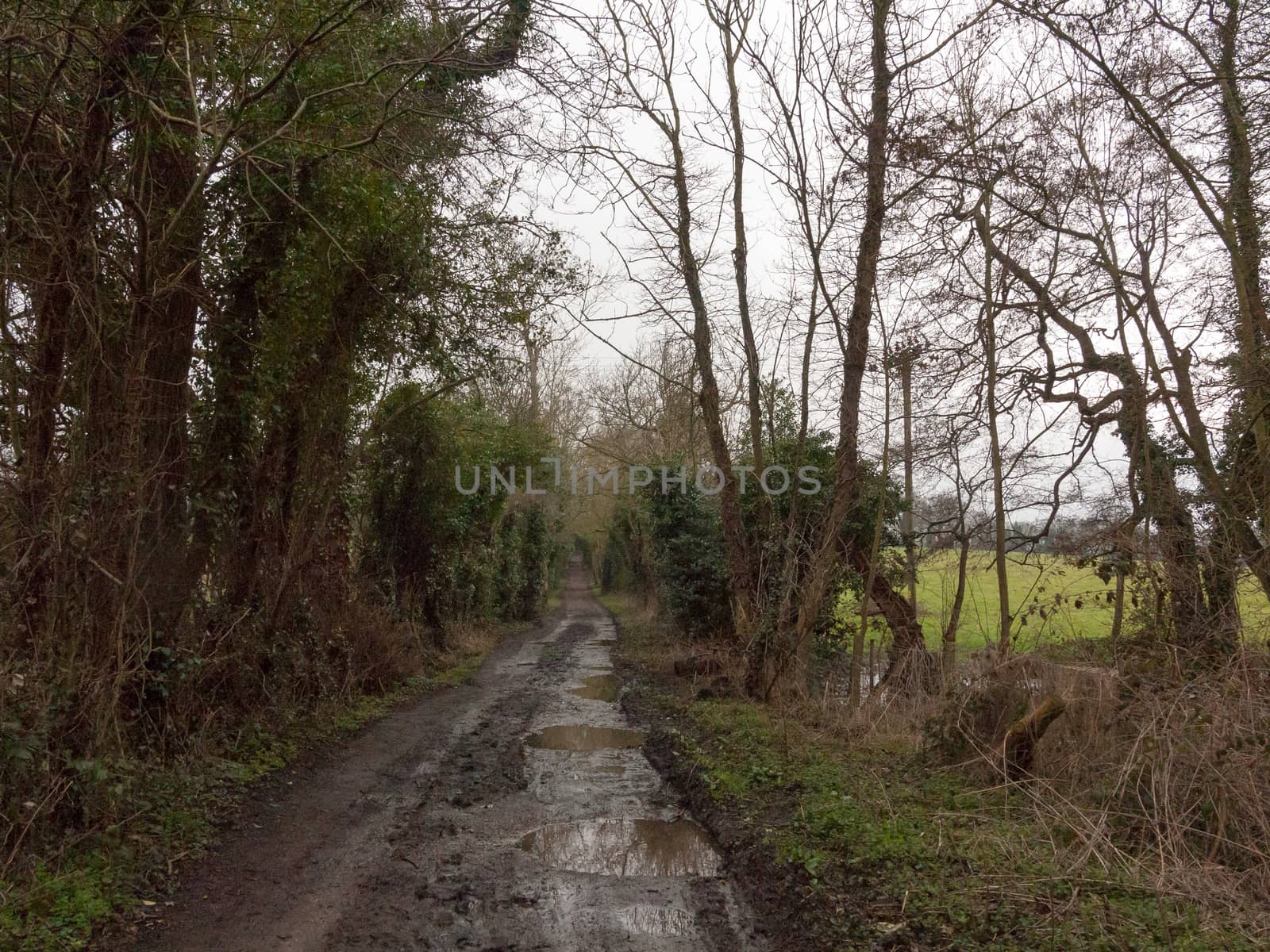 muddy pathway road through countryside tracks puddles spring by callumrc