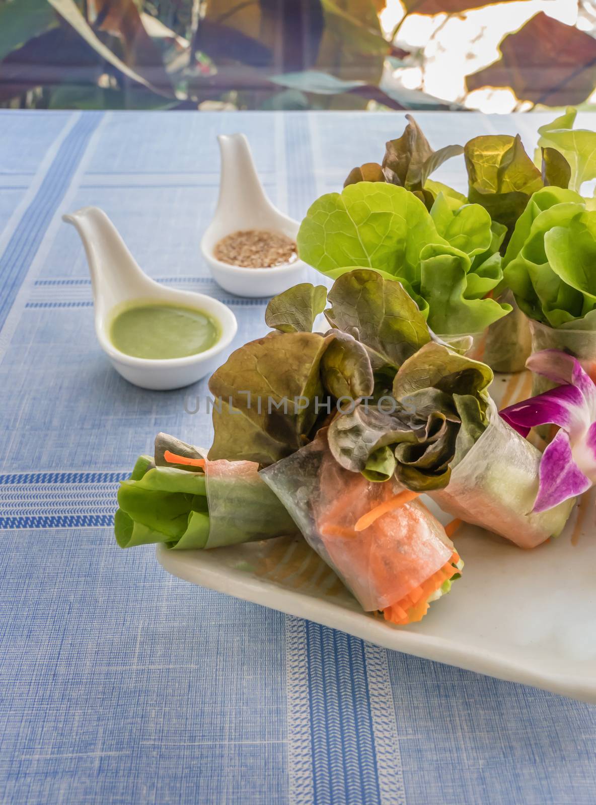 Fresh vegetable salad roll in noodle tube with crab stick on dish