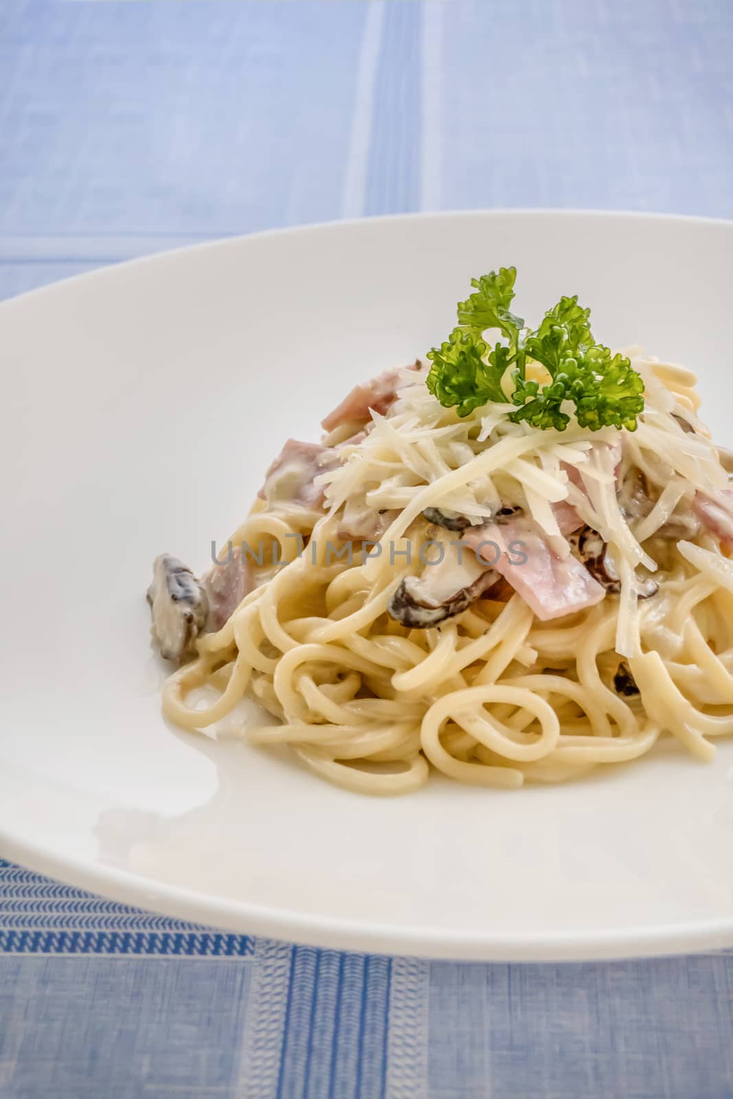 Spaghetti carbonara with bacon, mushroom and cheese on white dish