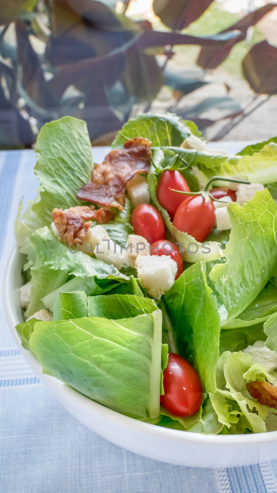 fresh organic salad in white bowl on table