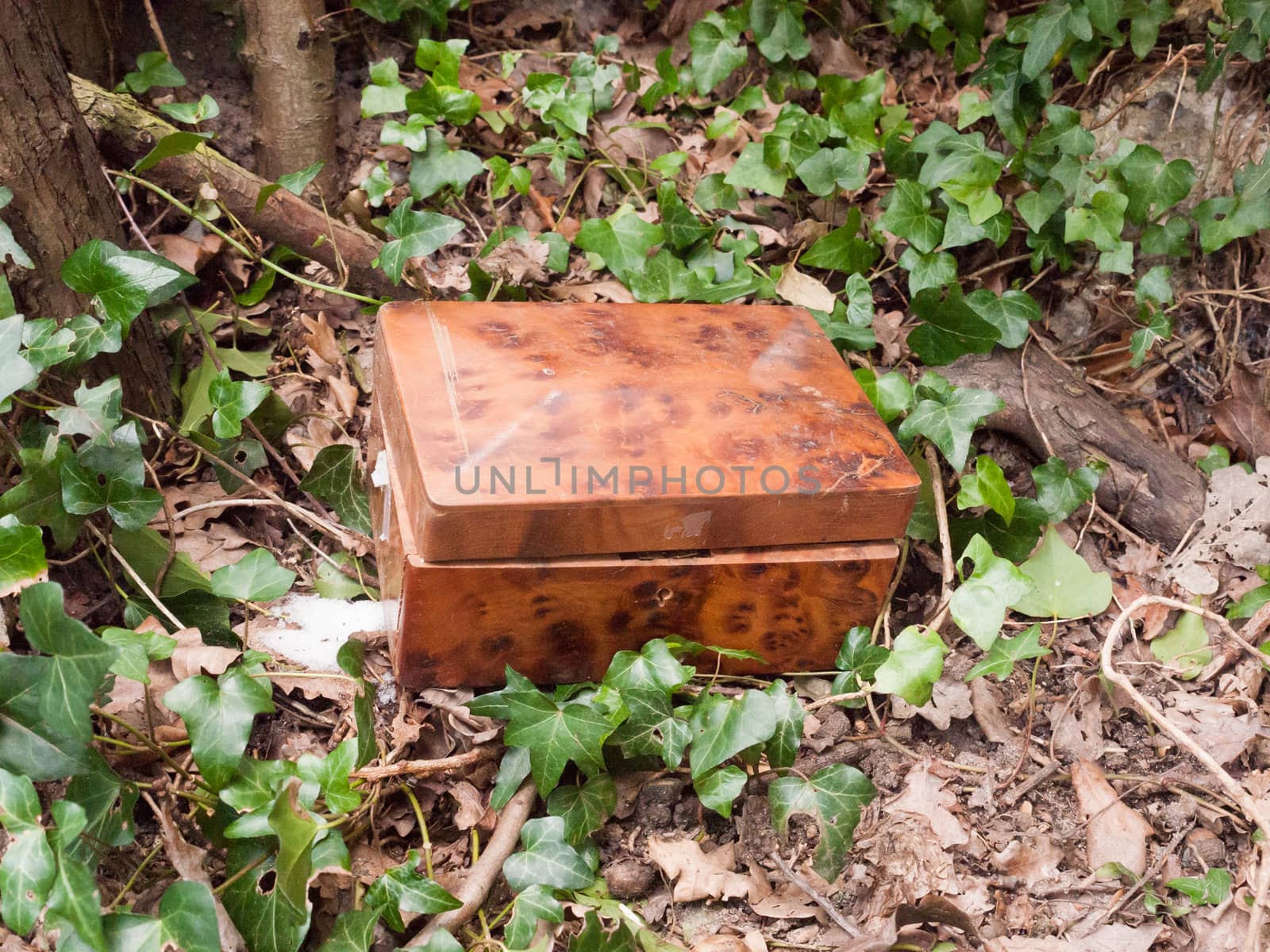 small wooden box outside in nature forest wood special; essex; england; uk