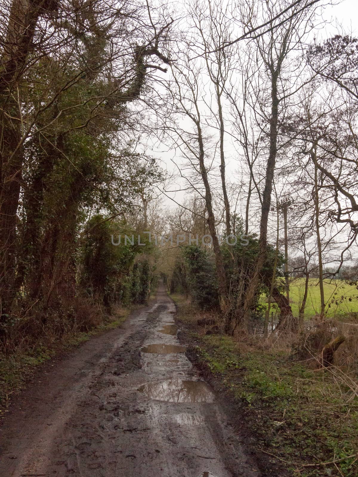 muddy pathway road through countryside tracks puddles spring by callumrc