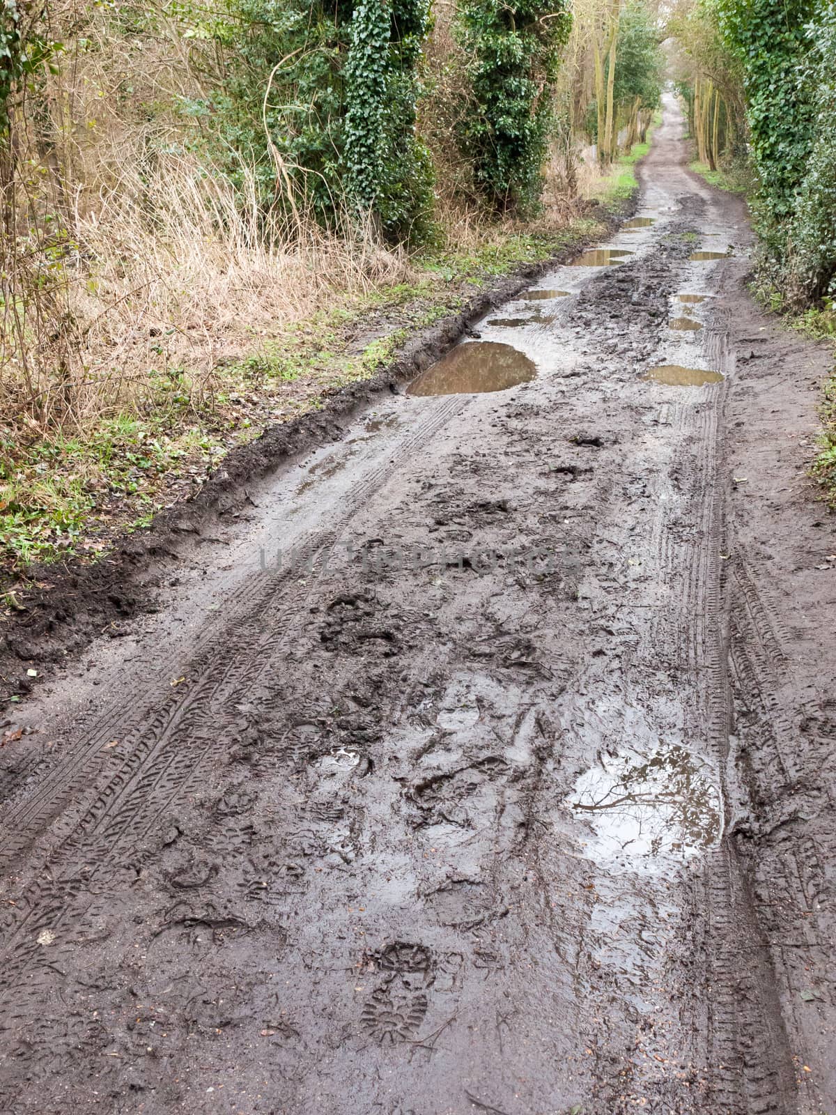 muddy pathway road through countryside tracks puddles spring by callumrc