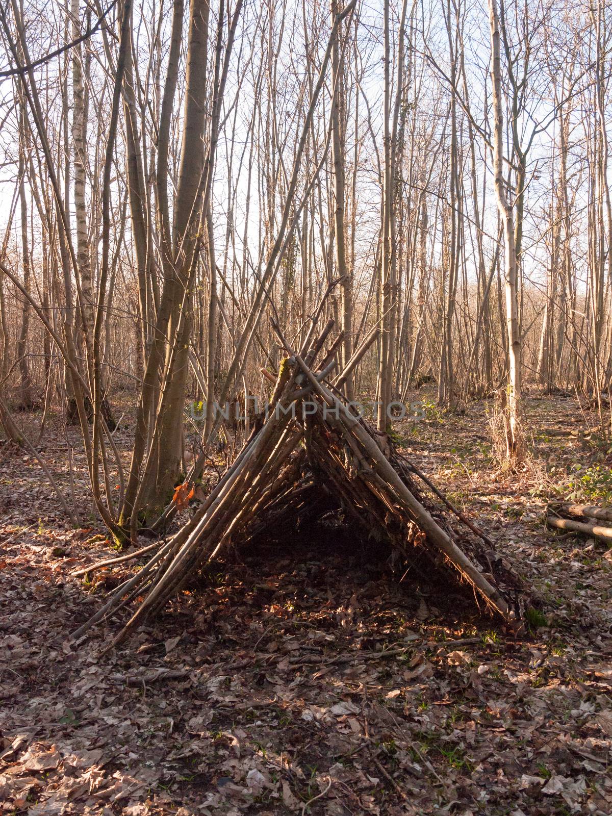 tree branches made into tent in middle of woodland uk by callumrc