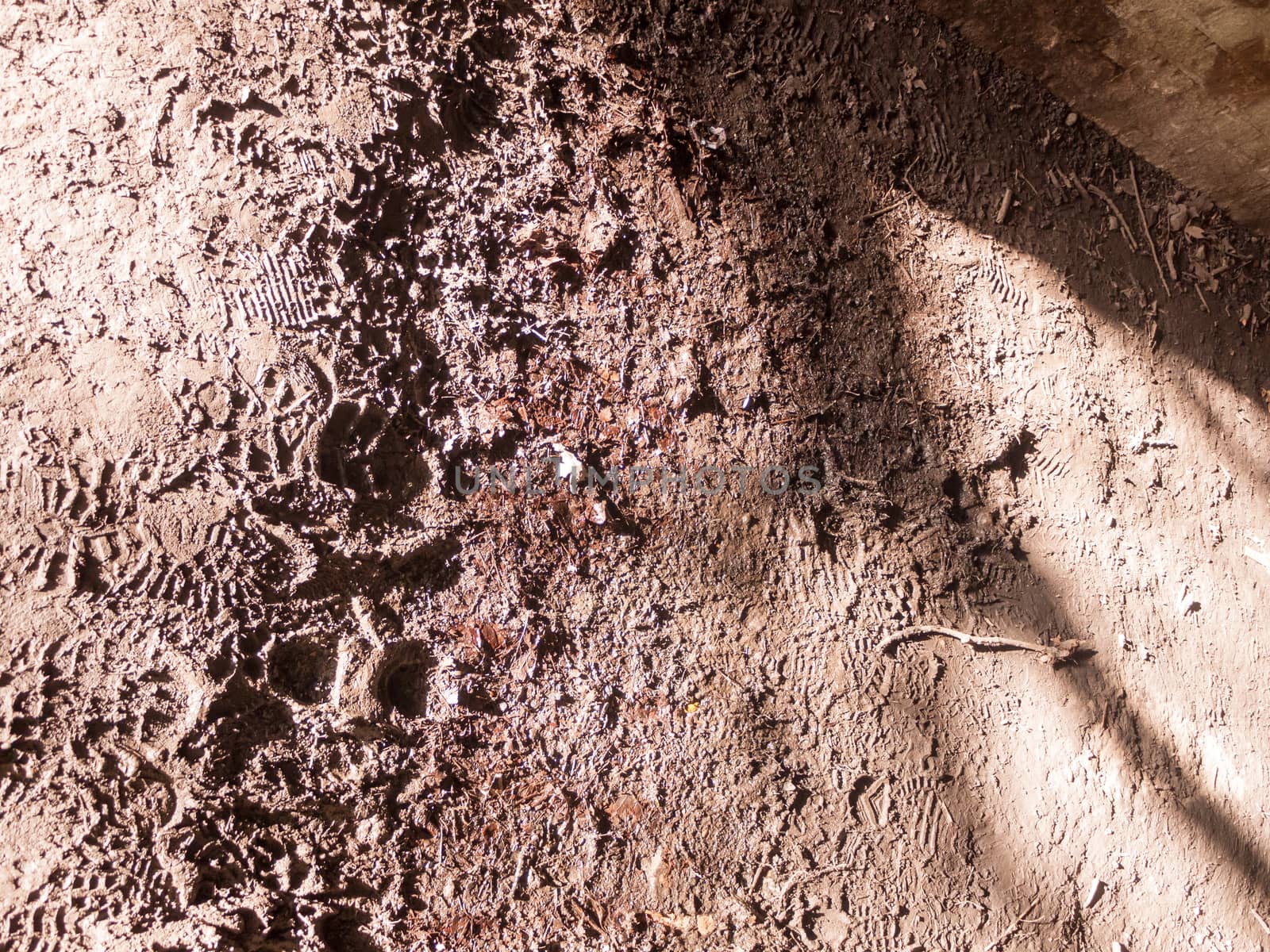 sunny muddy floor with foot prints surface outside path texture detail by callumrc