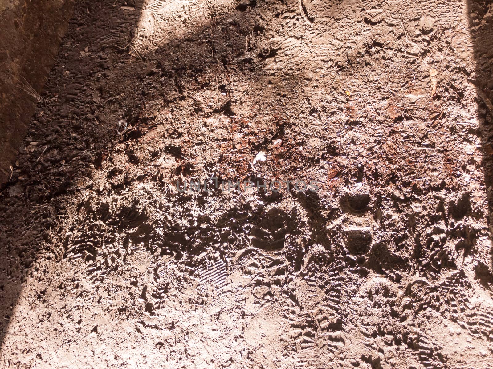 sunny muddy floor with foot prints surface outside path texture detail ; essex; england; uk