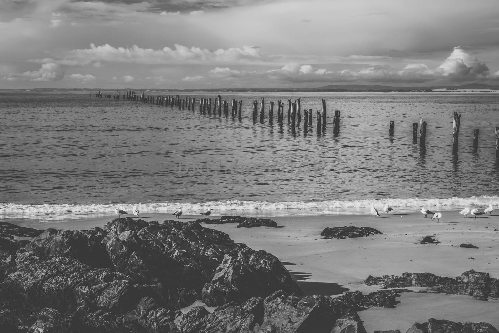 Beautiful beach at Bridport, Tasmania, Australia. by artistrobd